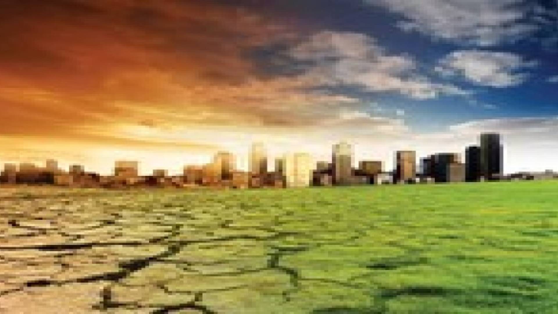 تغيرات المناخ قد تؤدي إلى تطور الأمراض الفيروسية