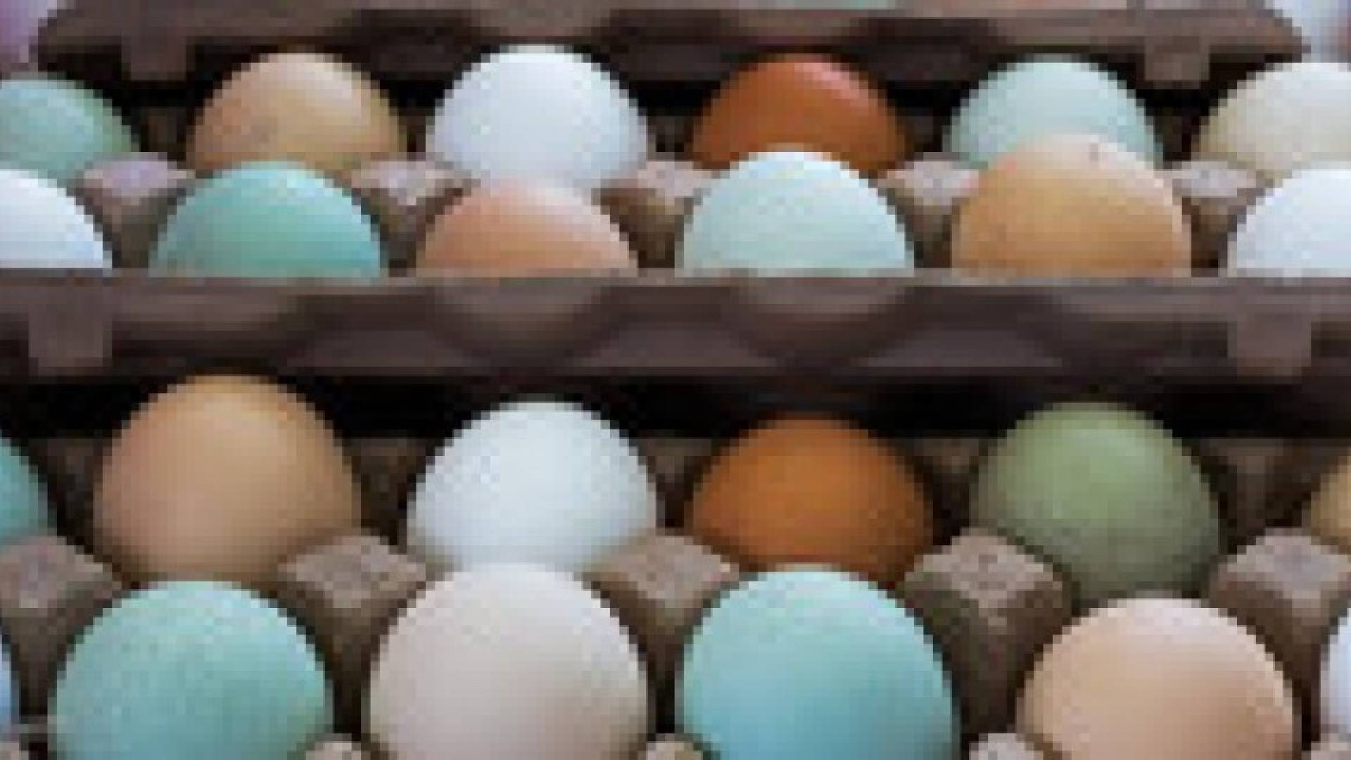 بيض ياباني بطعم ورائحة الفاكهة