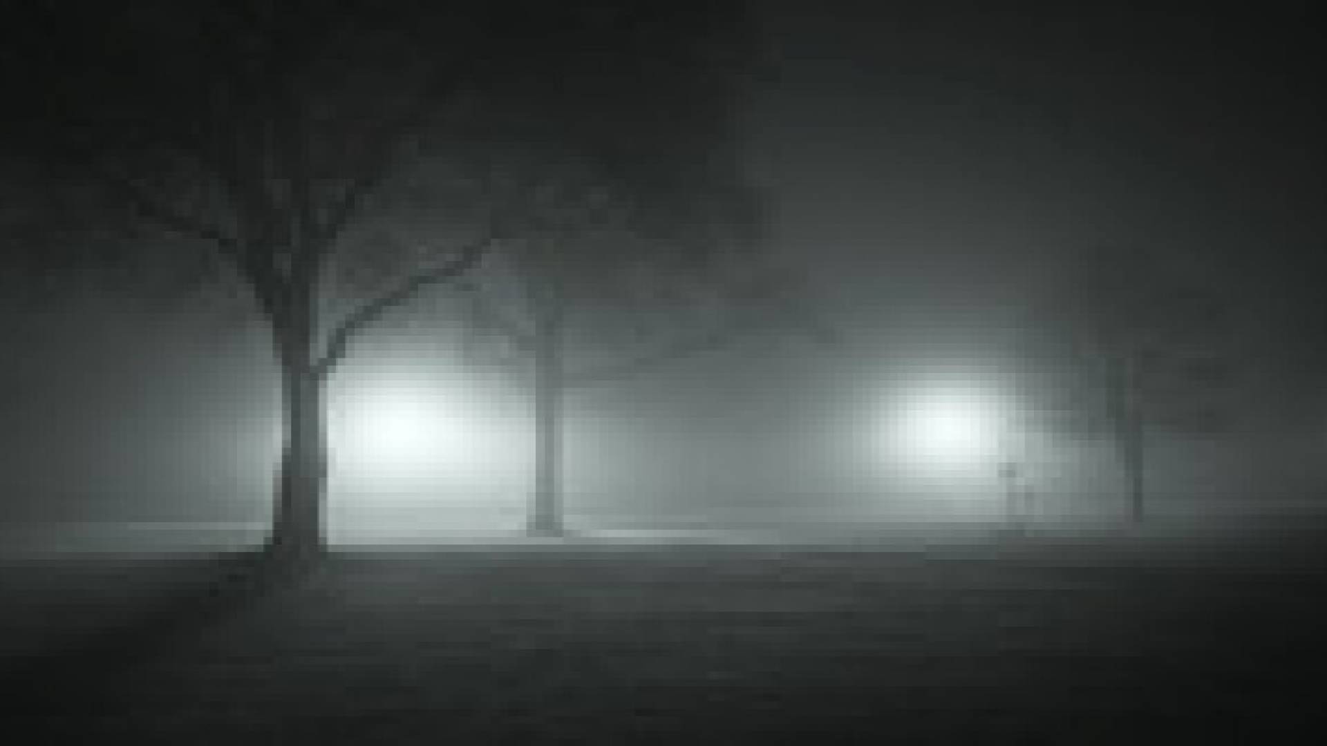 زخات أمطار محتمله في الشمال و الوسط و ضباب على أجزاء واسعه ليلا