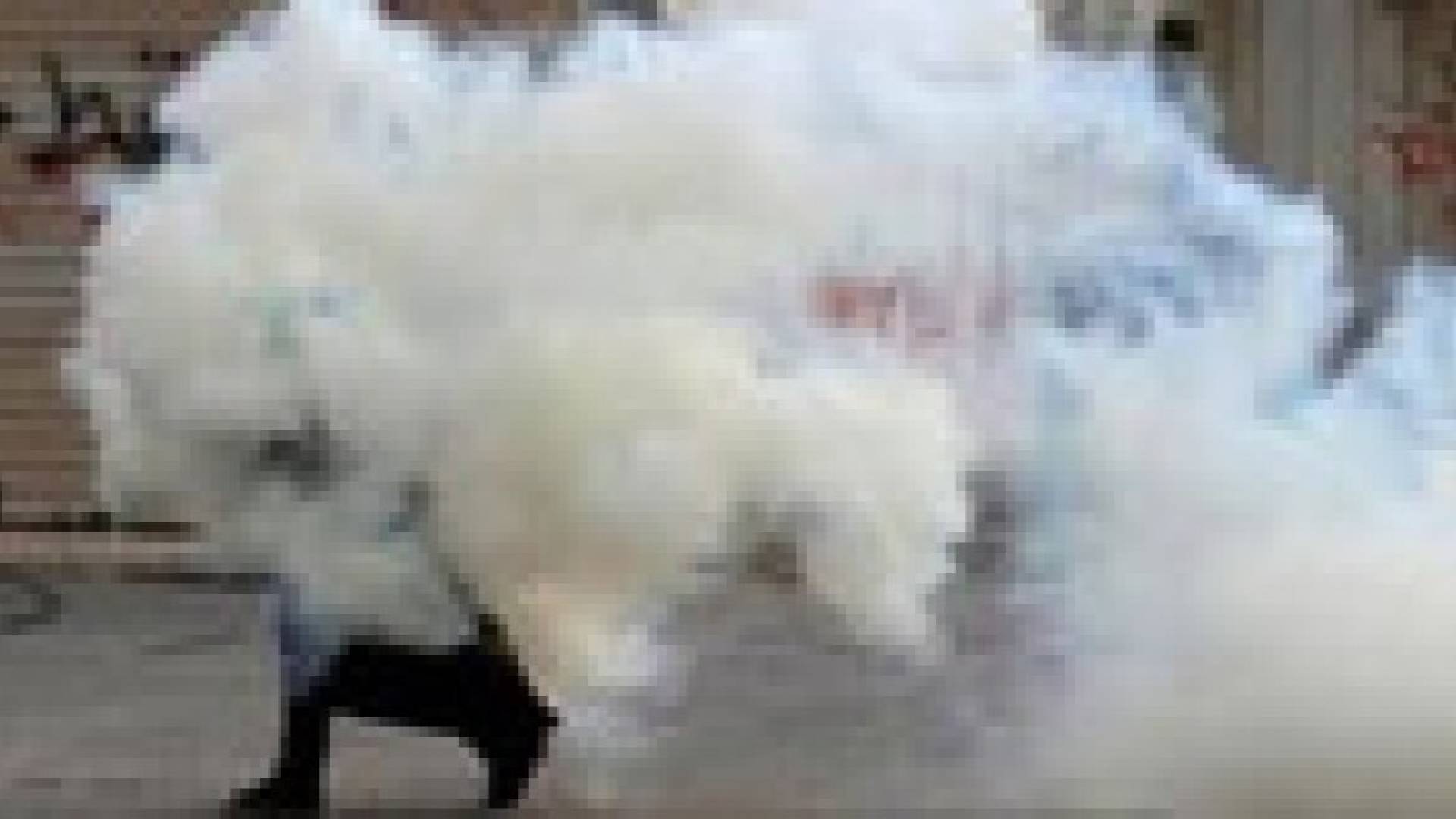 اختناق فلسطينيين بالغاز في مواجهات مع جيش الاحتلال بالضفة