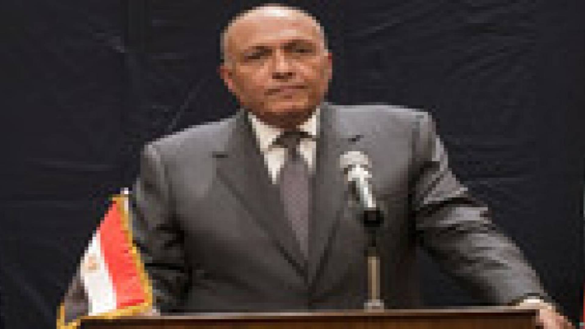 وزير خارجية مصر يستنكر استمرار سياسة "الاستيطان" الإسرائيلي