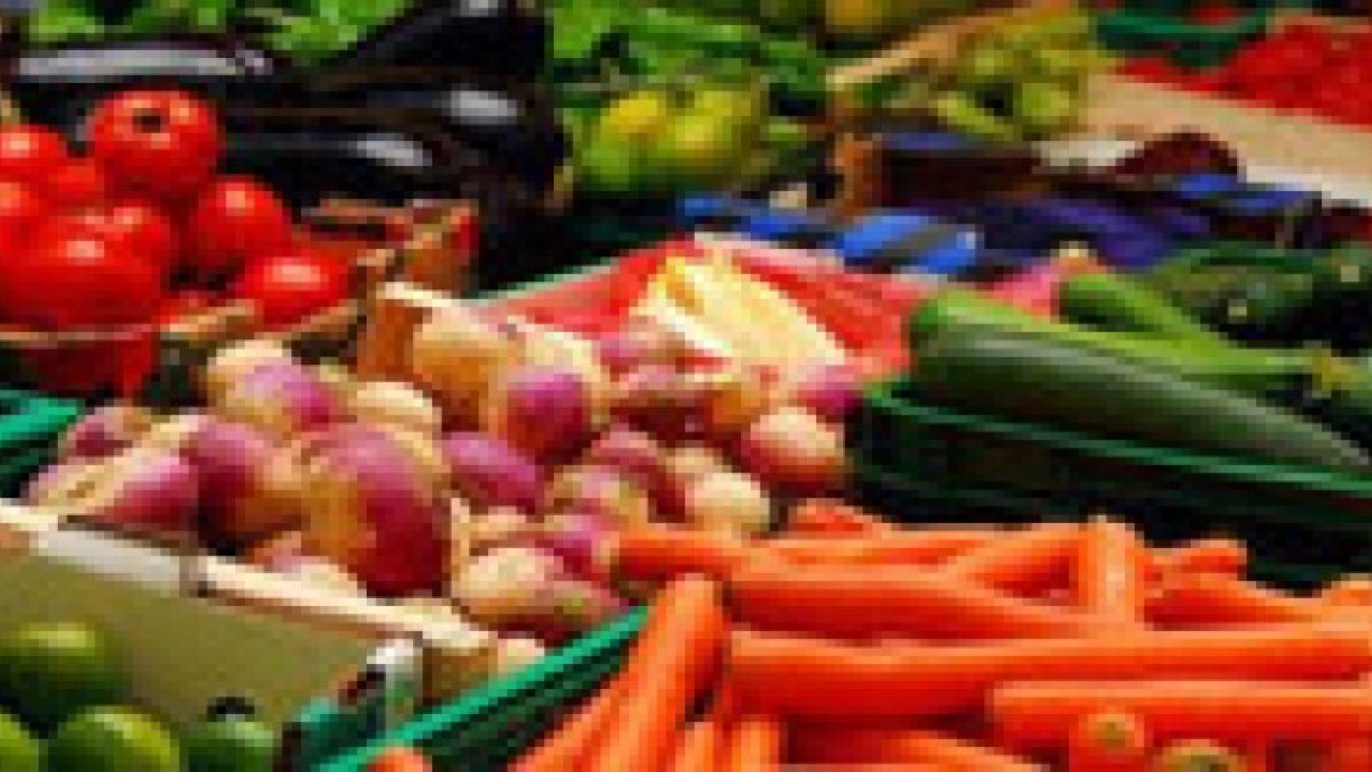 15 % نسبة زيادة صادرات الاردن الزراعية العام الماضي