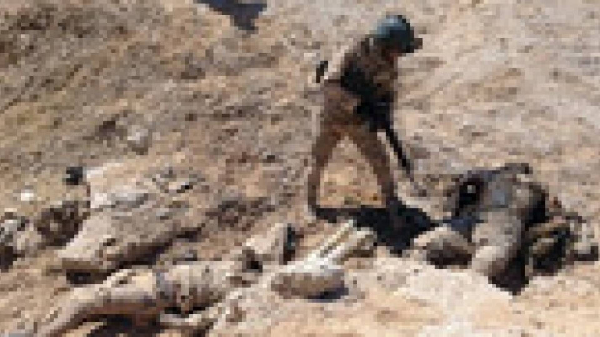 مقتل 60 داعشيا بقصف للتحالف الدولى شرق الموصل