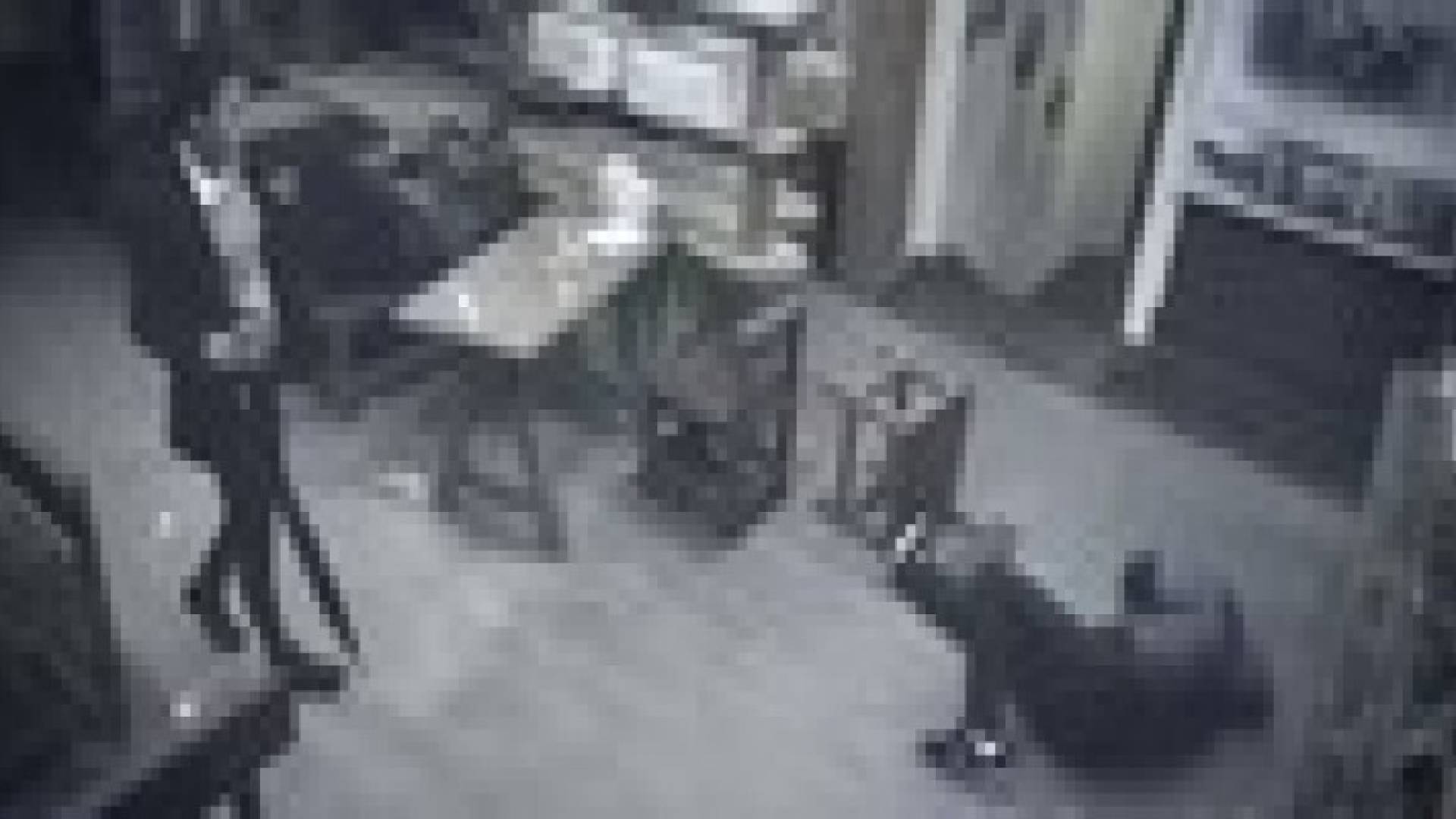 بالفيديو .. فتاة تنتصر لعمال مطعم