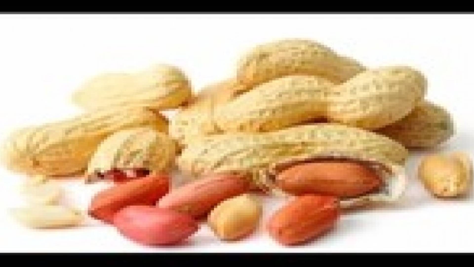 فوائد تناول الفول السوداني بانتظام