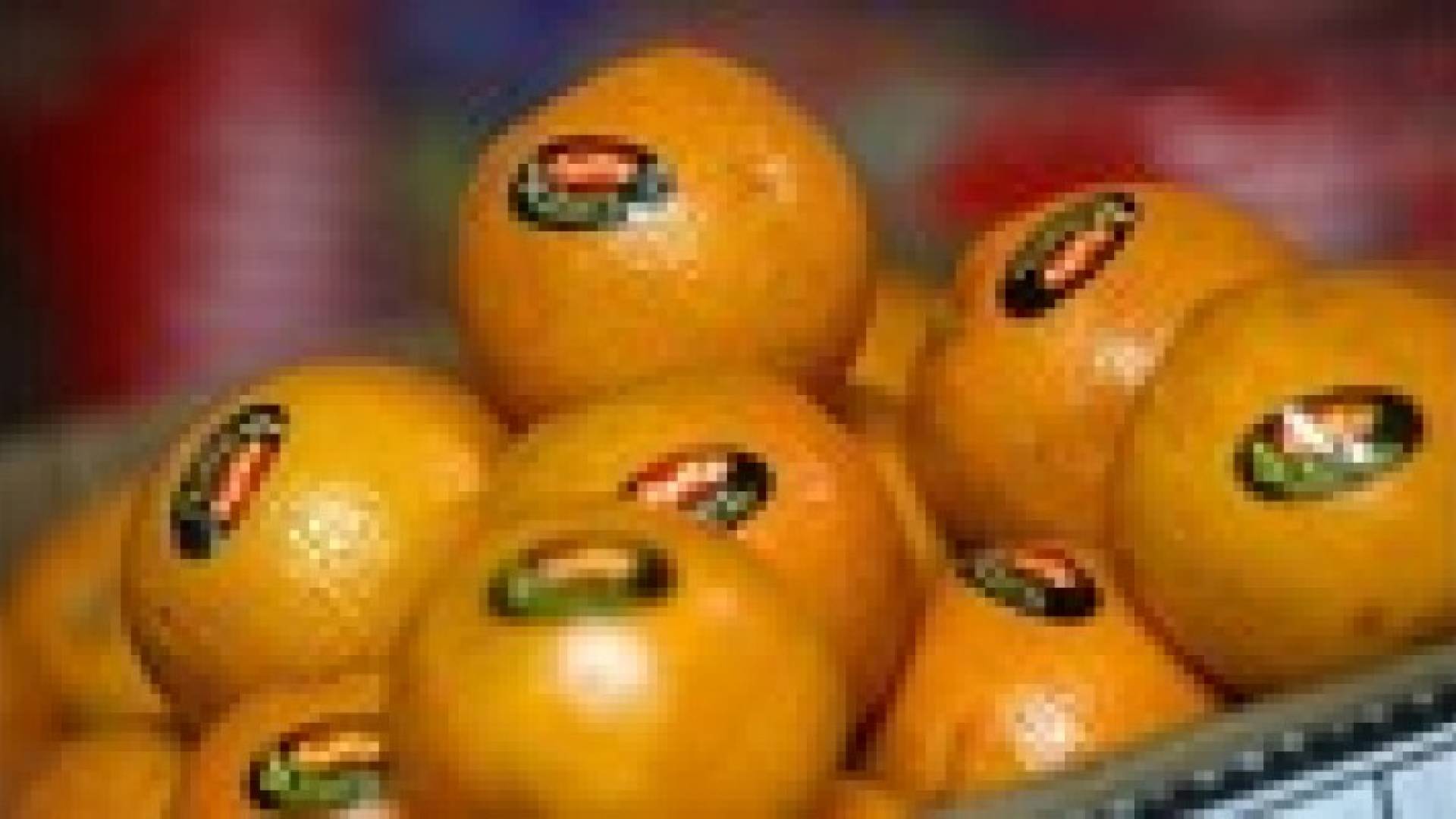 تعرف على سبب وجود ملصقات صغيرة على الفواكه