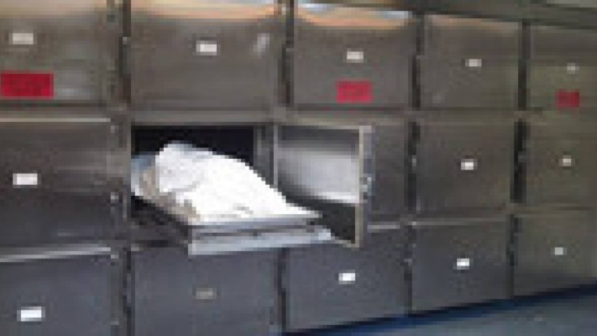 عجلون: أب يدهس طفلته الرضيعة خطأ فيتسبب بوفاتها