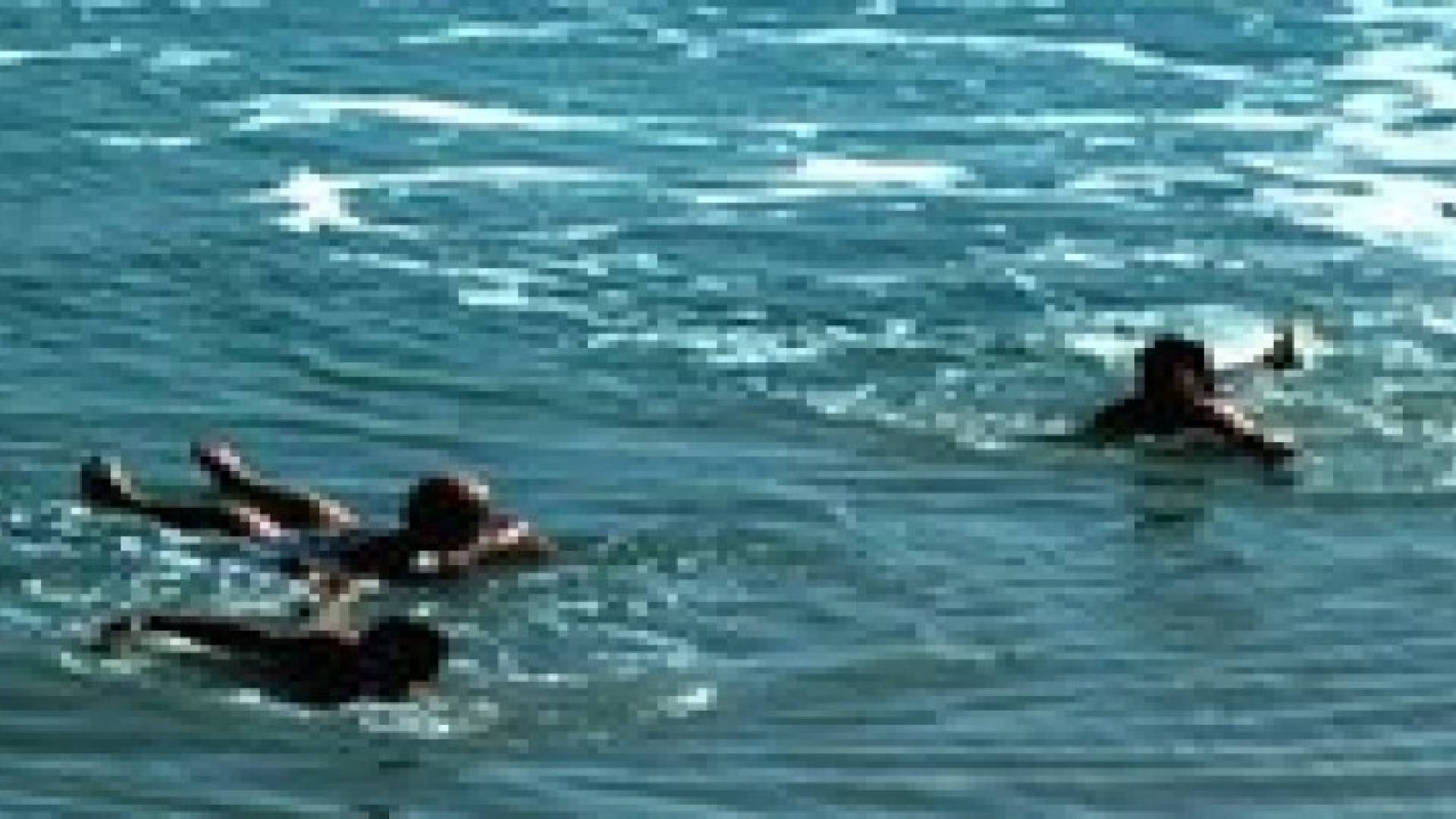 حالتين غرق في مياه البحر الميت