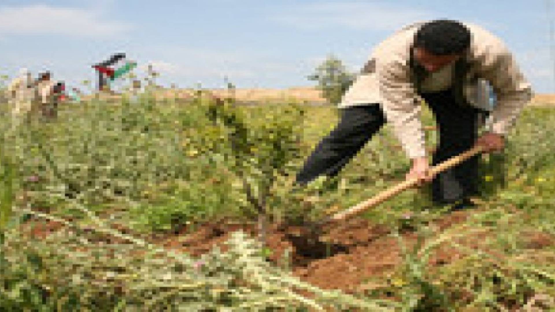 إصابة مزارع فلسطيني بغزة جراء انفجار قنبلة من مخلفات الحرب