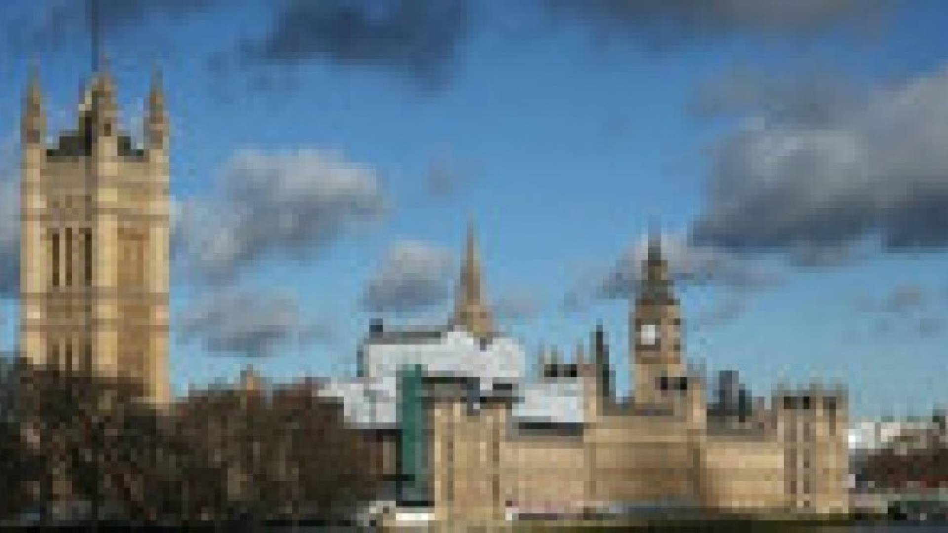 بريطانيا.. فئران في مبنى البرلمان