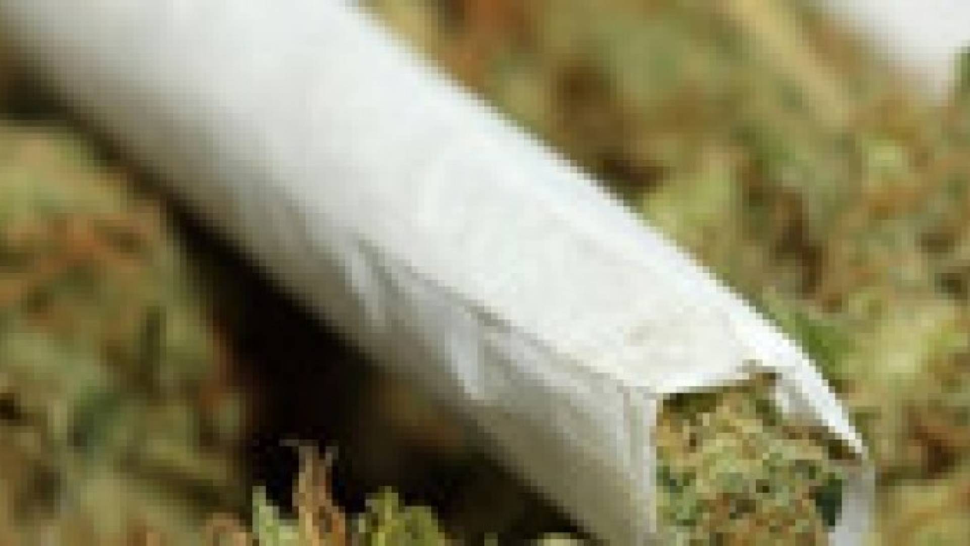 أول متجر حكومي لبيع الماريغوانا بواشنطن