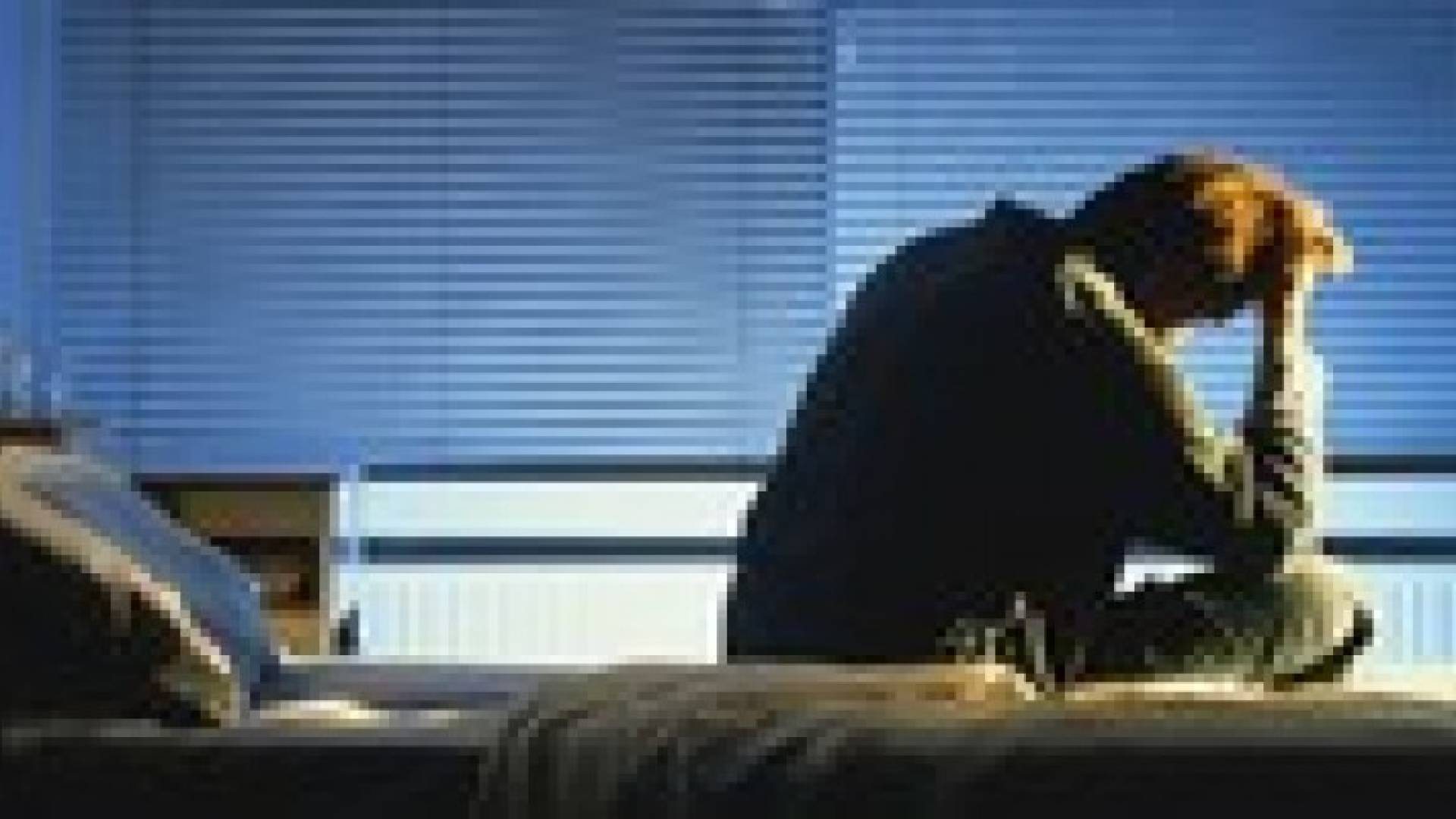 إذا أصابك الأرق فافعل شيئا مملا