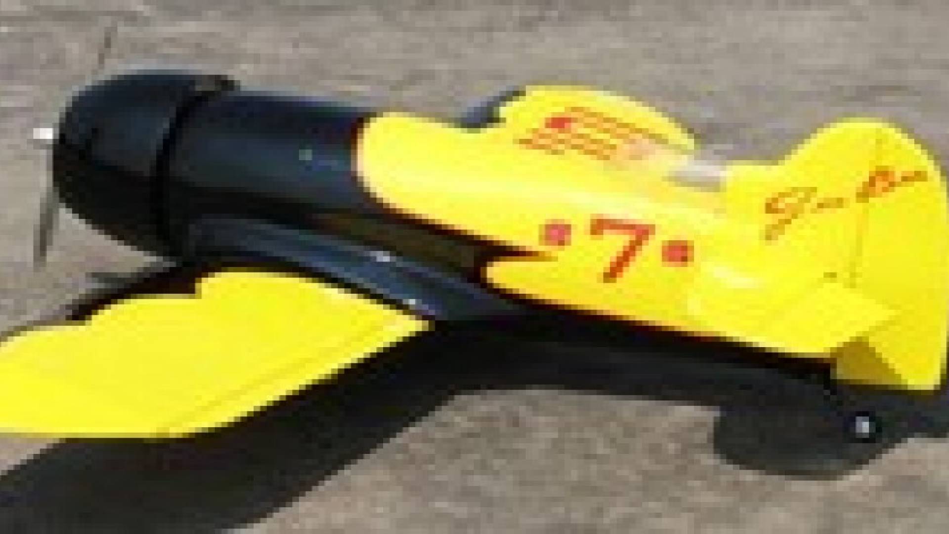 "نحلة" تحمل متفجرات أحدث التكنولوجيا العسكرية