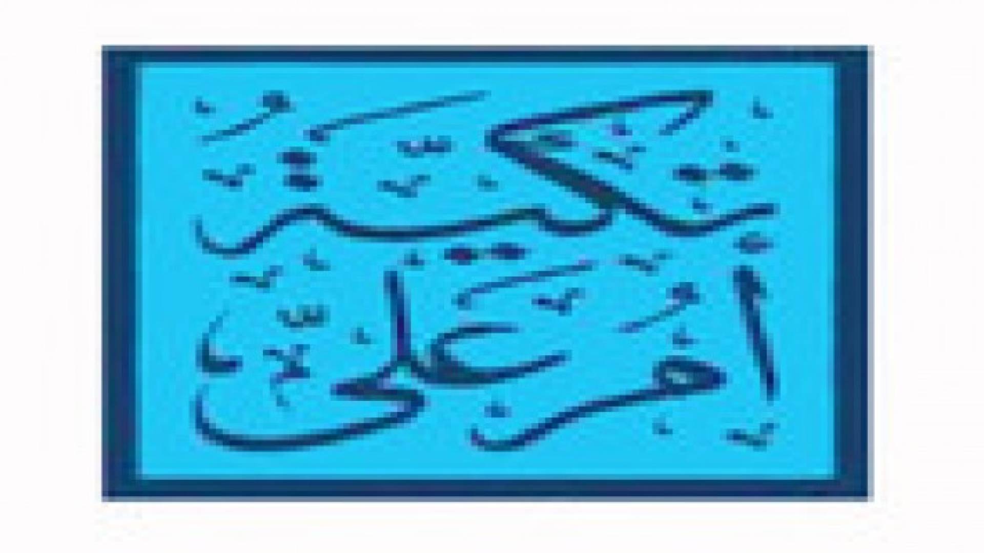 ورشة تدريبية لموظفي تكية أم علي