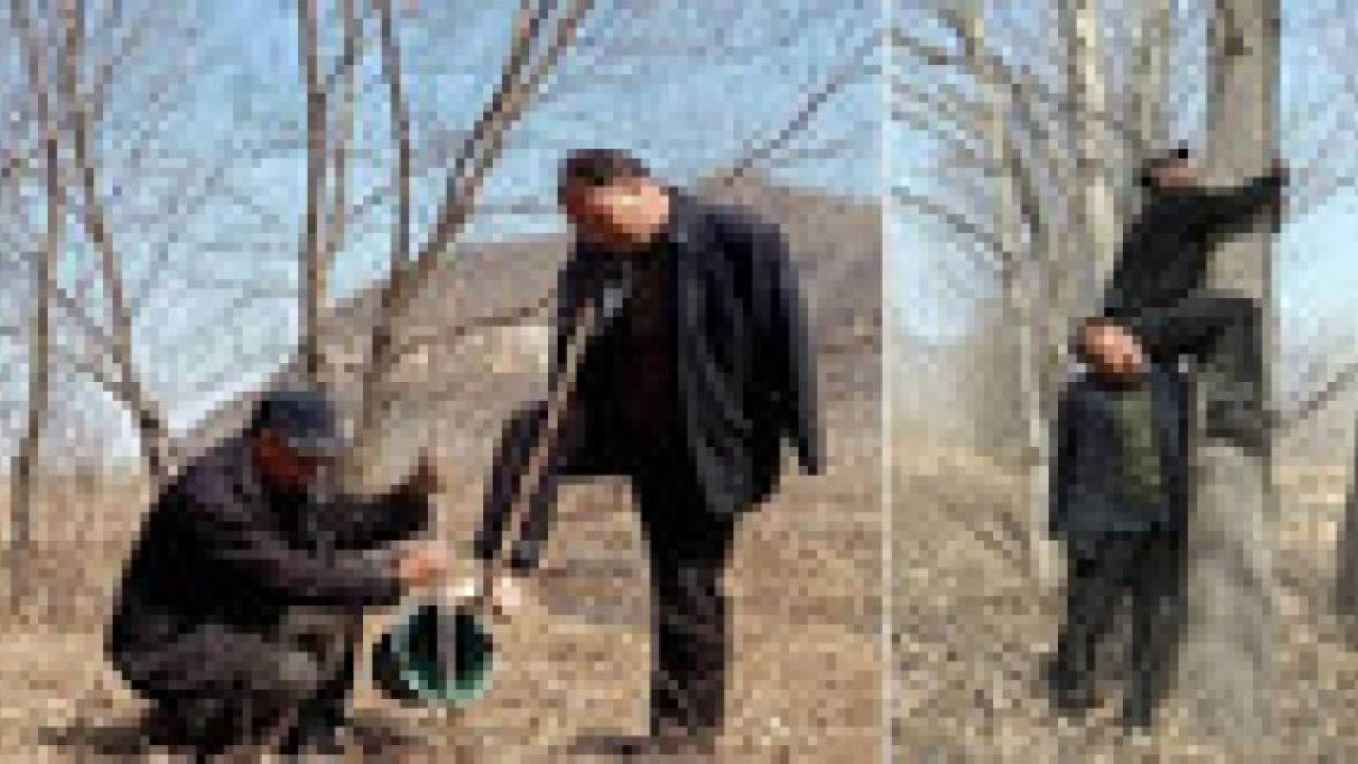 صيني أعمى وآخر بلا ذراعين يزرعان 10 آلاف شجرة