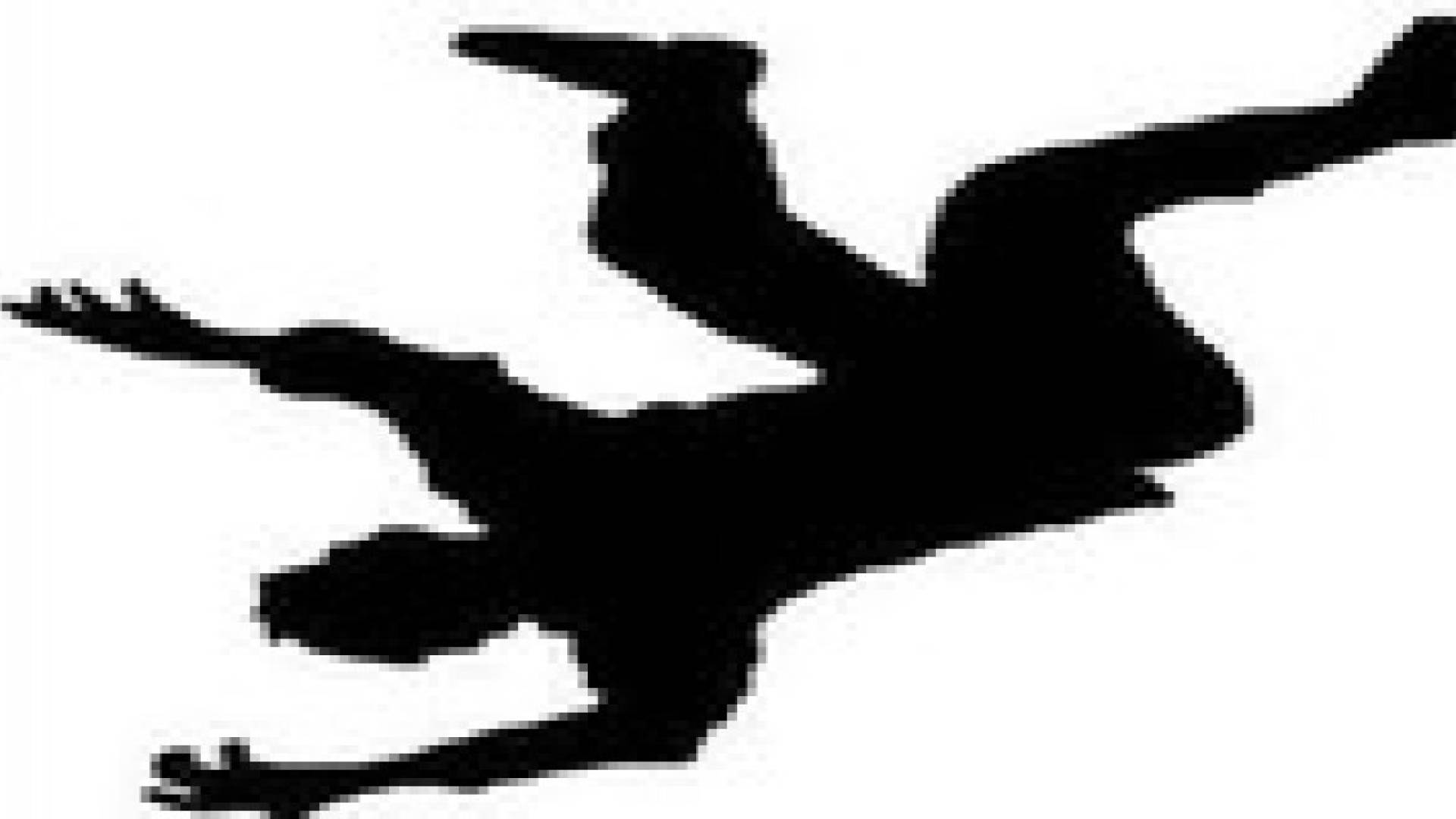 إصابة عامل وافد اثر حادث سقوط في جرش