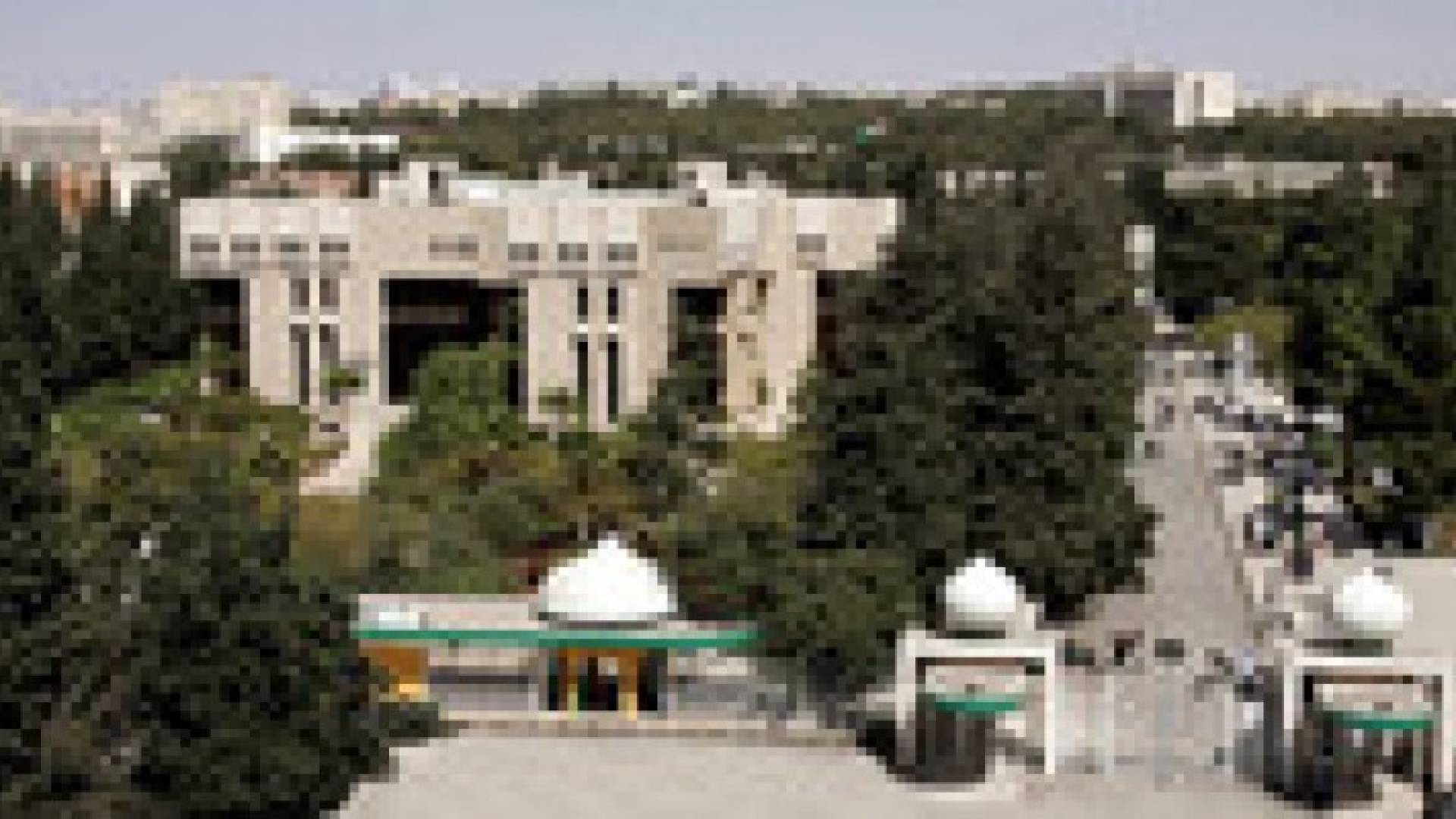 إلزام طلبة الجامعة الأردنية بزراعة شجرة كشرط للتخرج