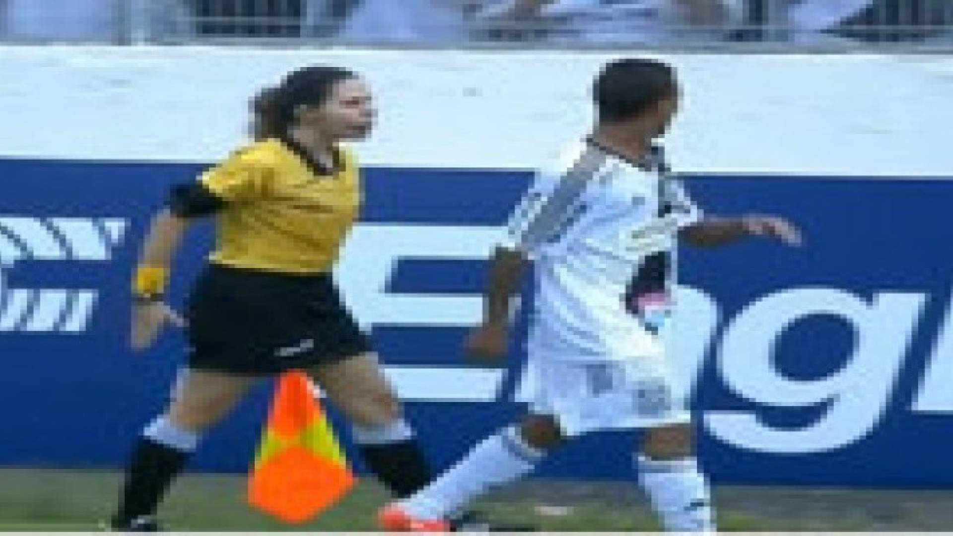 بالفيديو..رد فعل عنيف من حاملة راية برازيلية على اعتراض لاعب