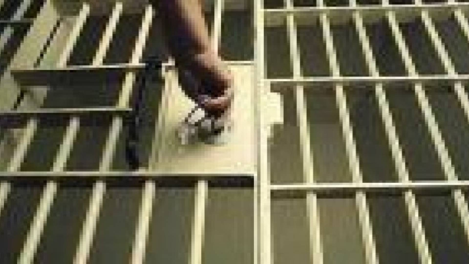 أمن الدولة: الحكم بالسجن 5 سنوات على منتمي لجبهة النصرة