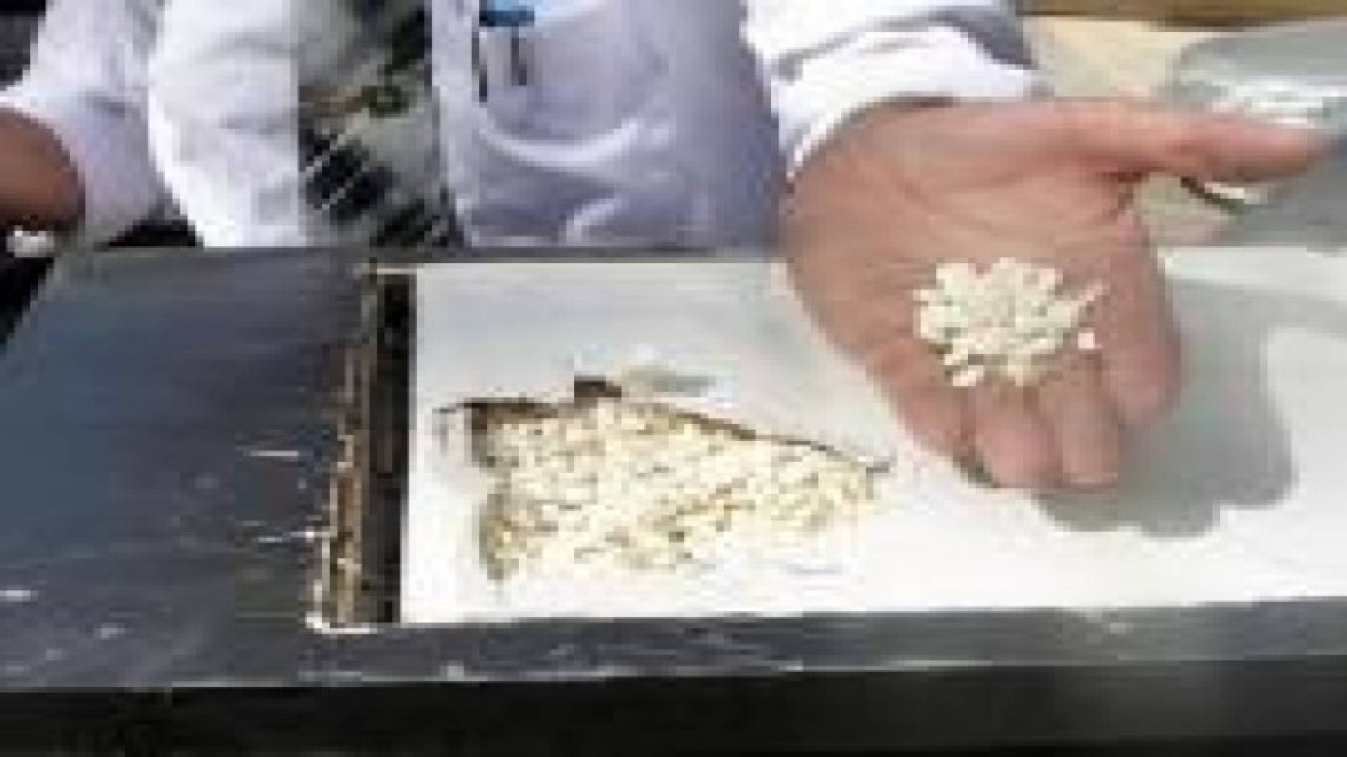 البراءة لأب وابنه من تهمة تصدير 862428 حبة مخدرة الى السعودية