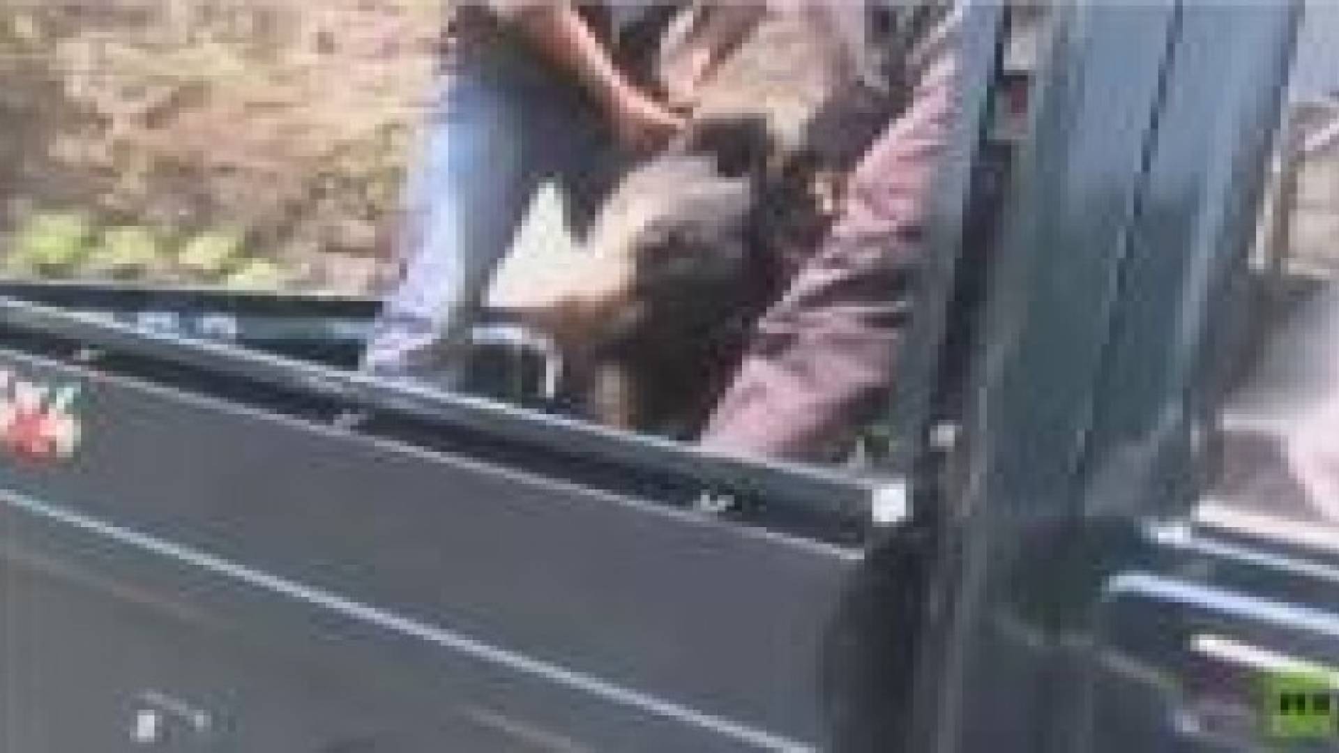 الشرطة الهندية تقتل أحد عناصرها أثناء عملية لمحاصرة دب