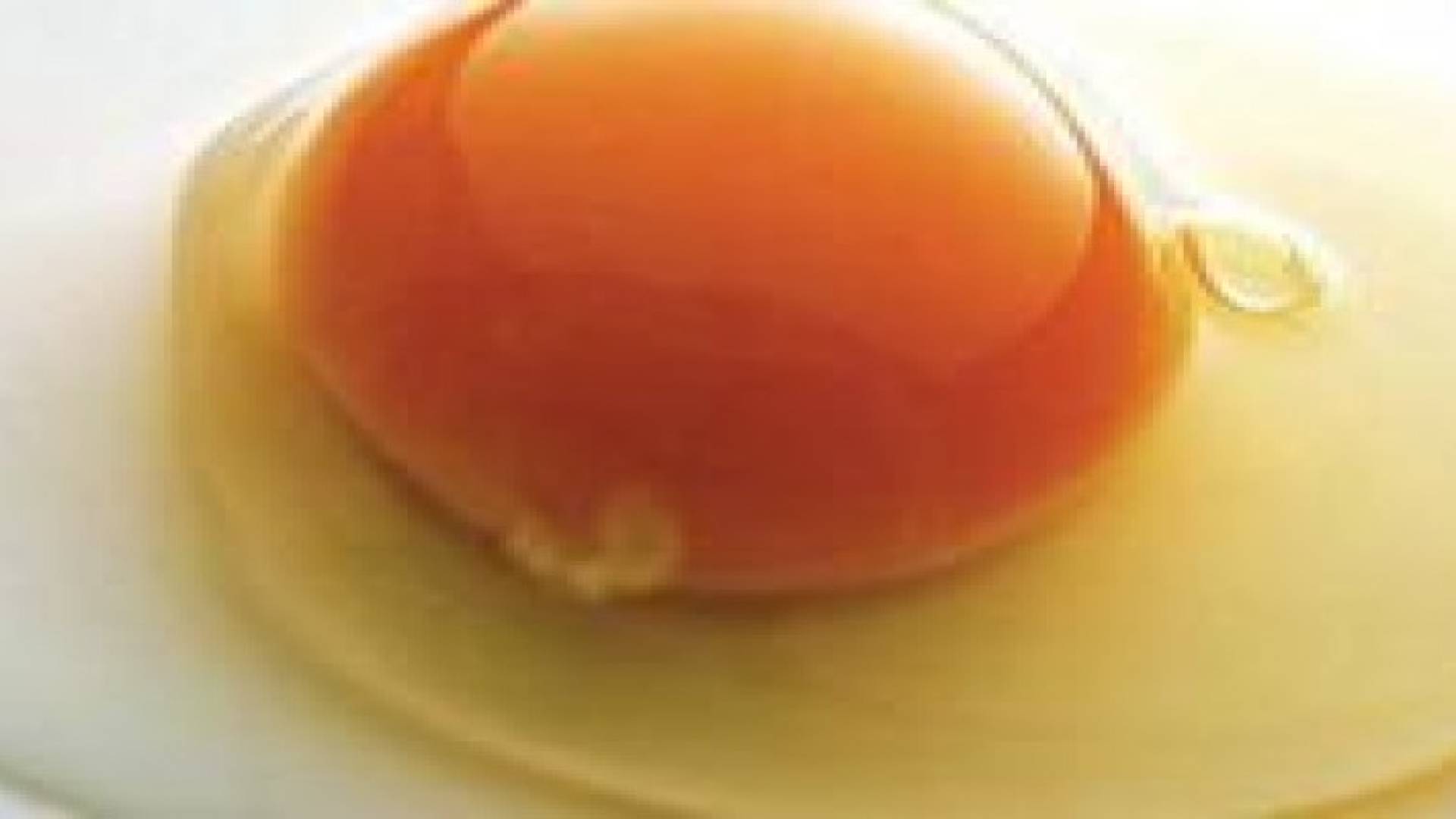 باحثون يطورون بلاستيك مضادا للبكتيريا من زلال البيض