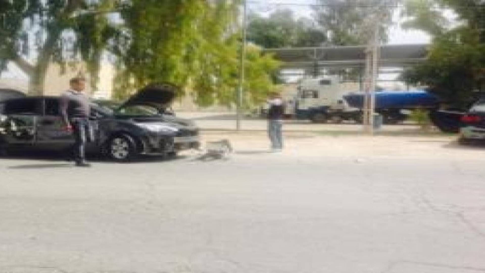 اصابة امرأه اثر حادث سير في الشونة الجنوبية