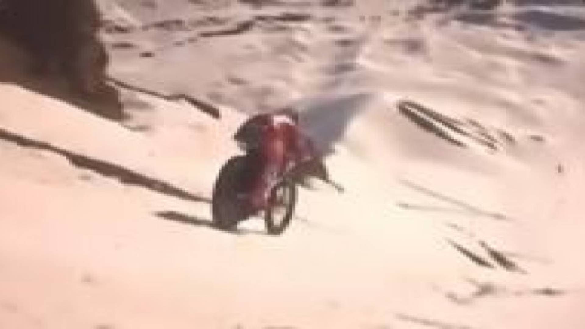 بالفيديو.. نزول خطير من جبال الألب الثلجية بدراجة هوائية