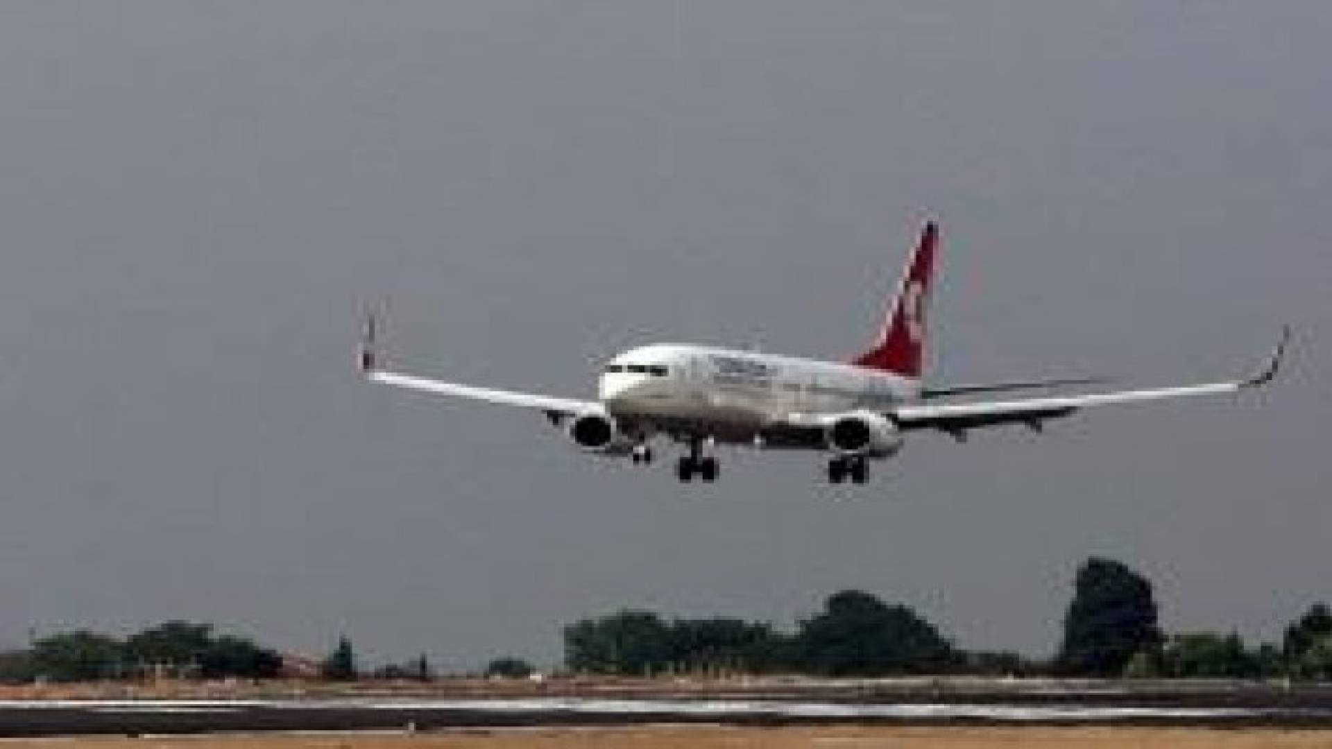 سرب طيور يجبر طائرة تركية على الهبوط الاضطراري باسطنبول