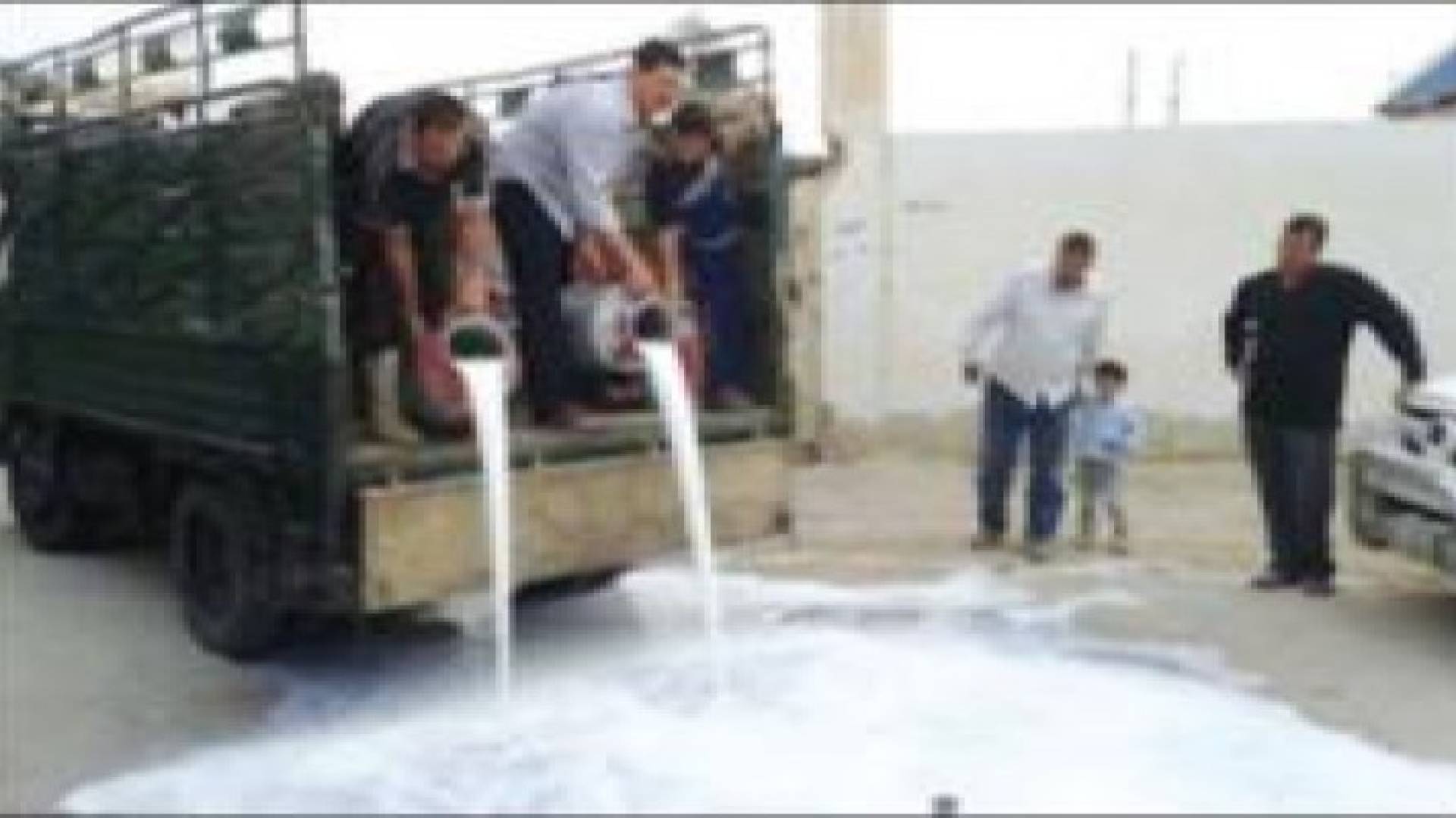 مربو أبقار يتخلصون من الحليب الطازج احتجاجا على استيراد "المجفف"