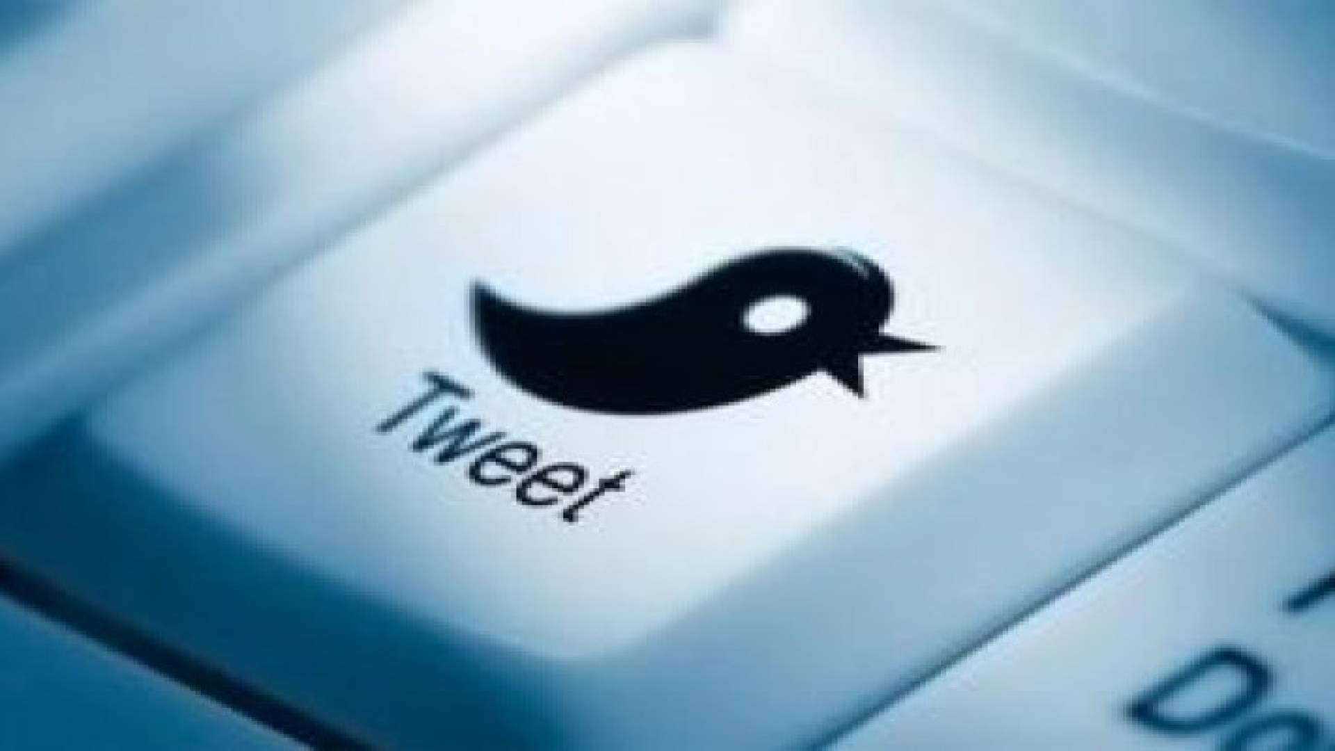 غوغل تبدي رغبتها في شراء تويتر
