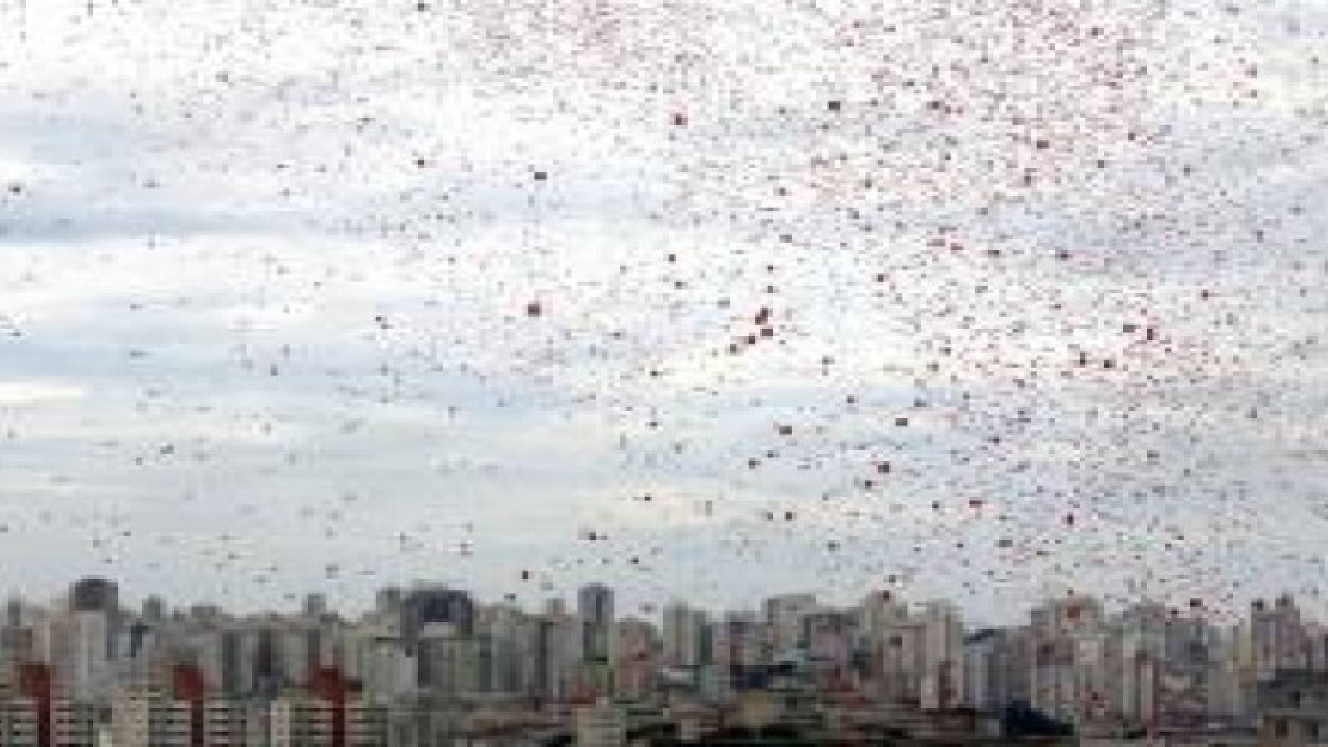 فيلم اغتيال الزعيم يصل إلى كوريا الشمالية بواسطة بالونات الهيليوم