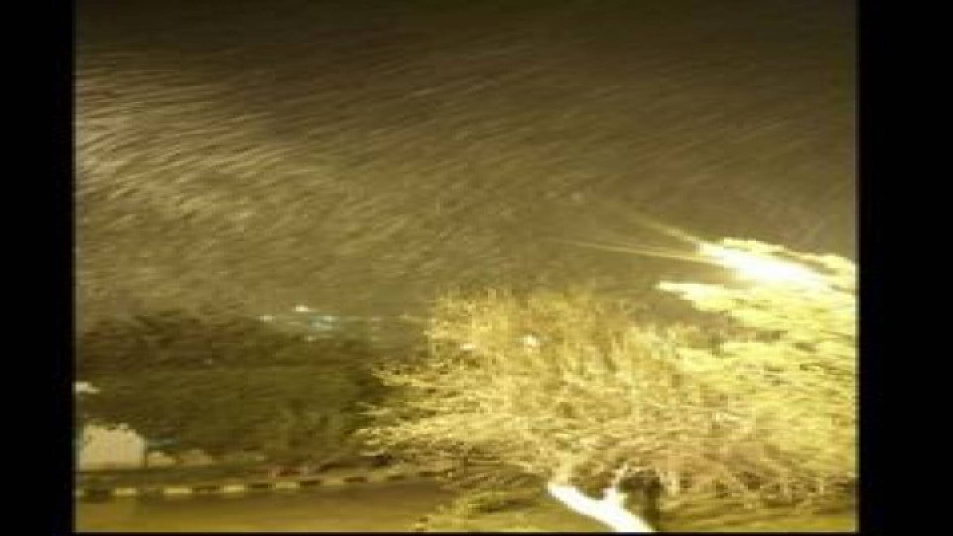 الثلوج تتساقط بكثافة في الرشادية .. صور