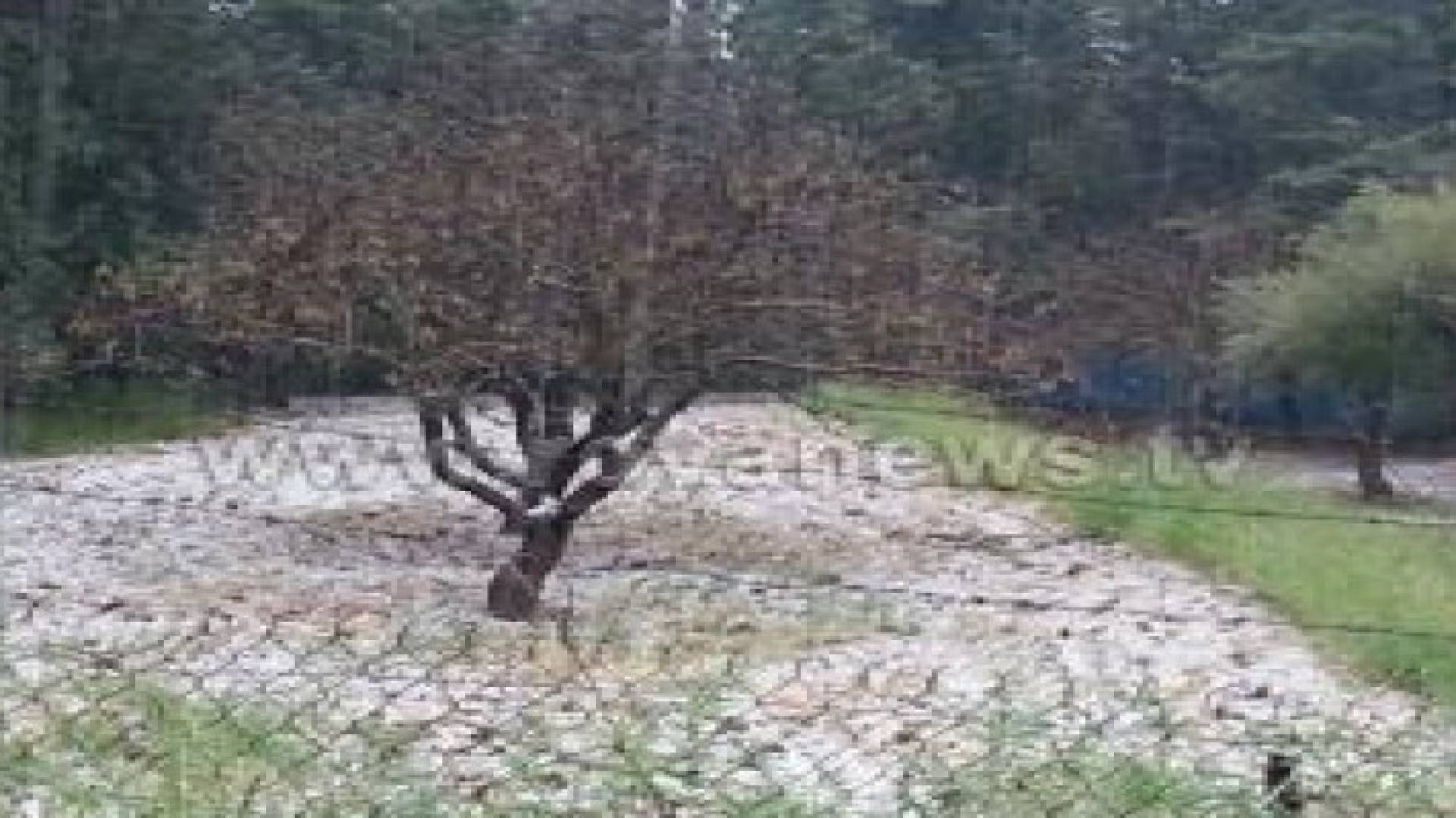 الثلوج تتساقط في بعض المرتفعات الغربية للعاصمة..صور