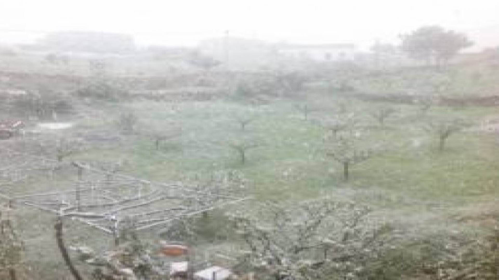 مشاهد من تساقط الثلوج على رأس منيف