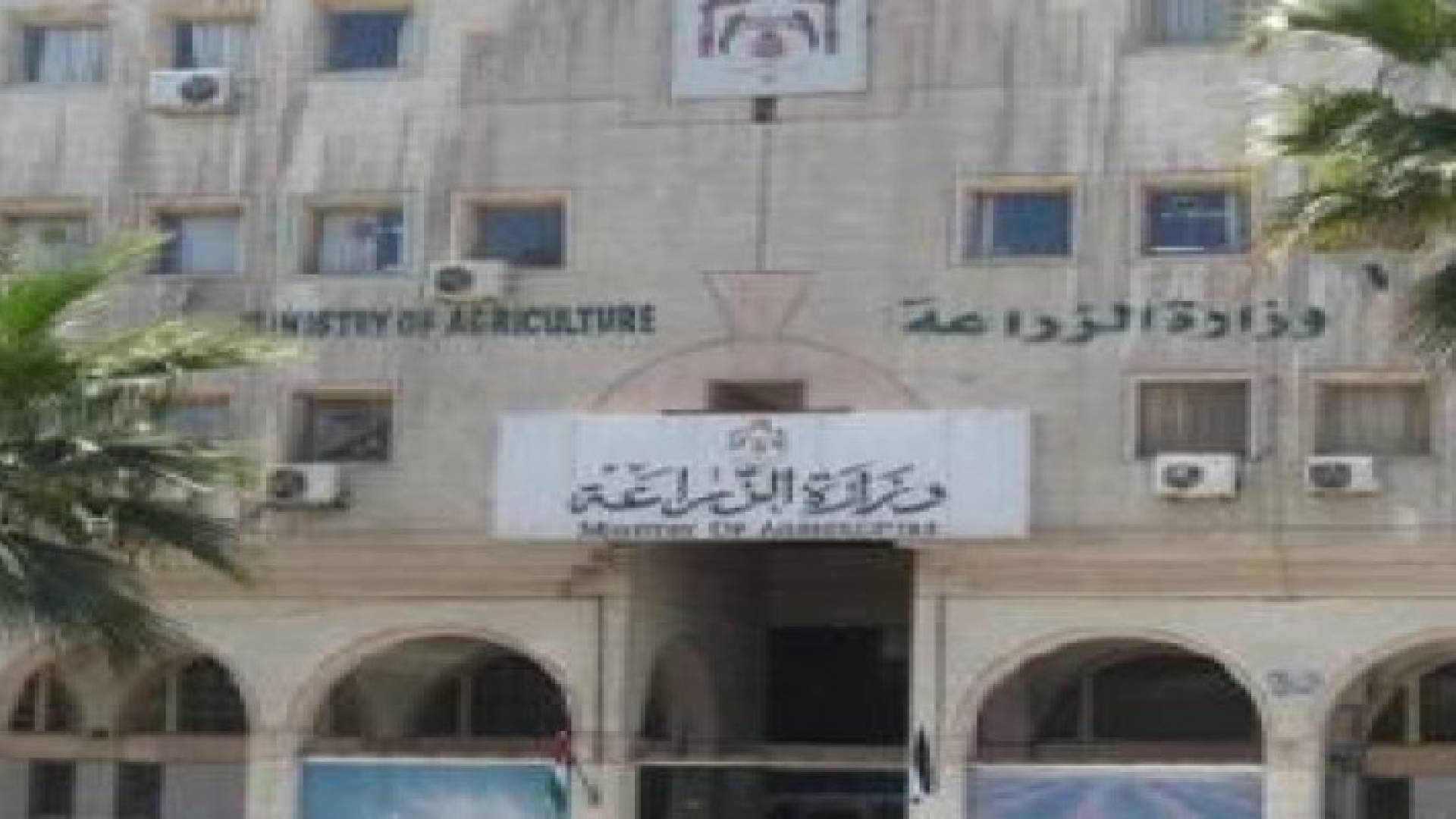 "الزراعة" : المنخفض الجوي يبشر بموسم زراعي جيد