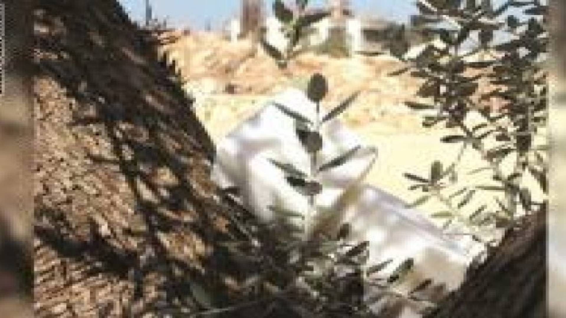 أغلى صابونة في العالم لبنانية.. ومصنوعة من مسحوق الماس