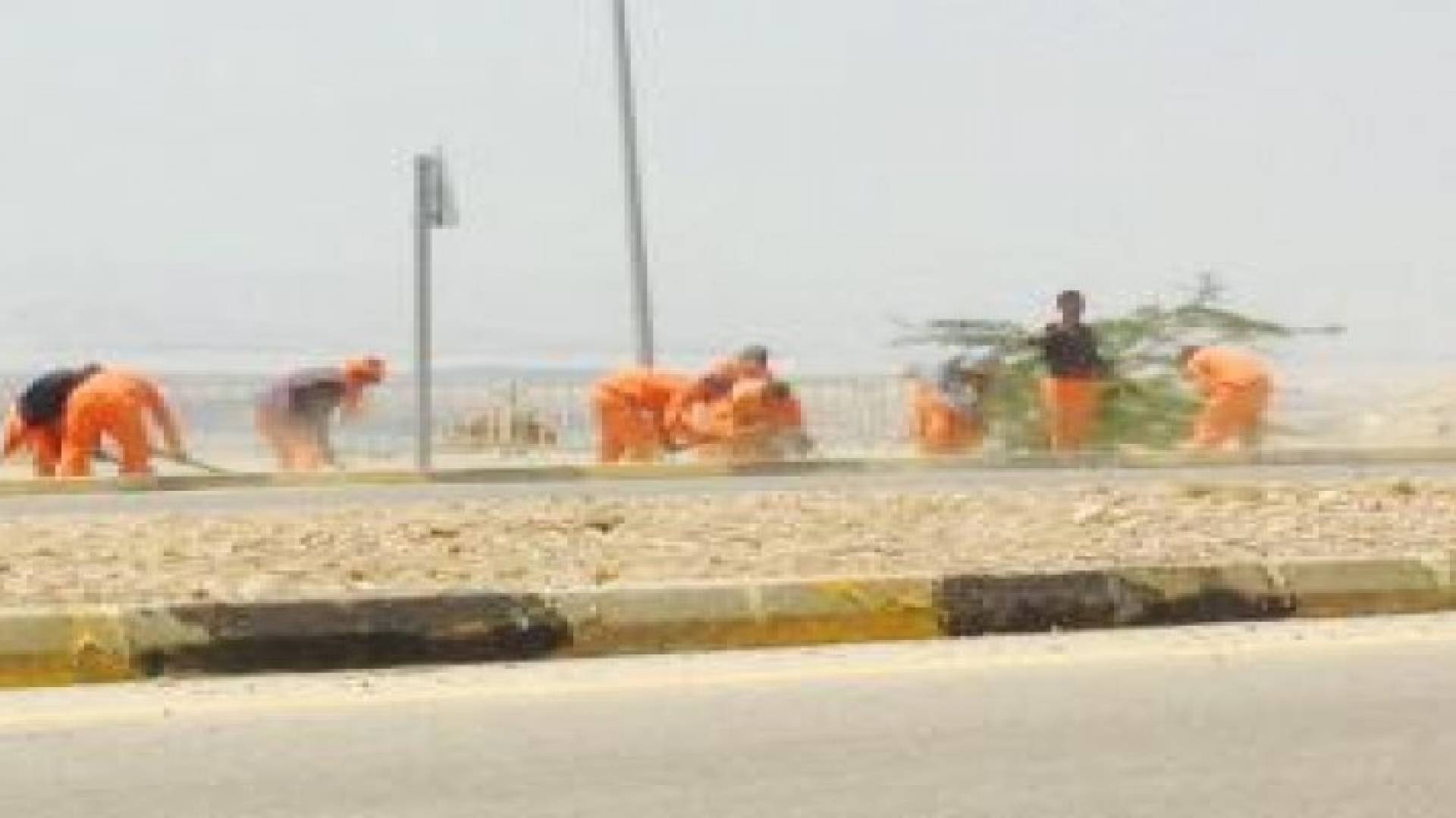 امانة عمان تطلق حملة نظافة بمنطقة البحر الميت