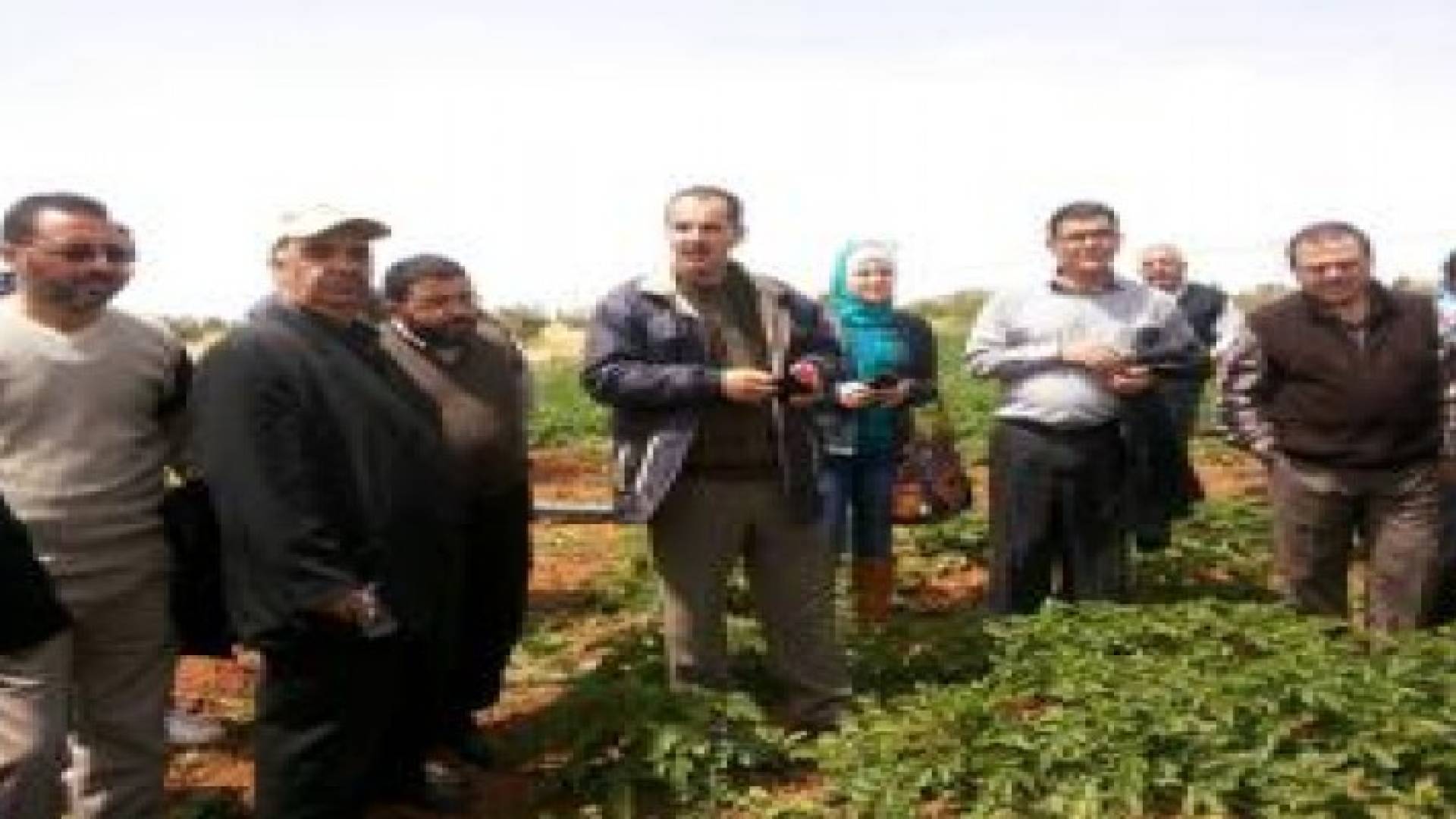 الرمثا: يوم حقلي لزراعة البطاطا بالآلات الزراعية