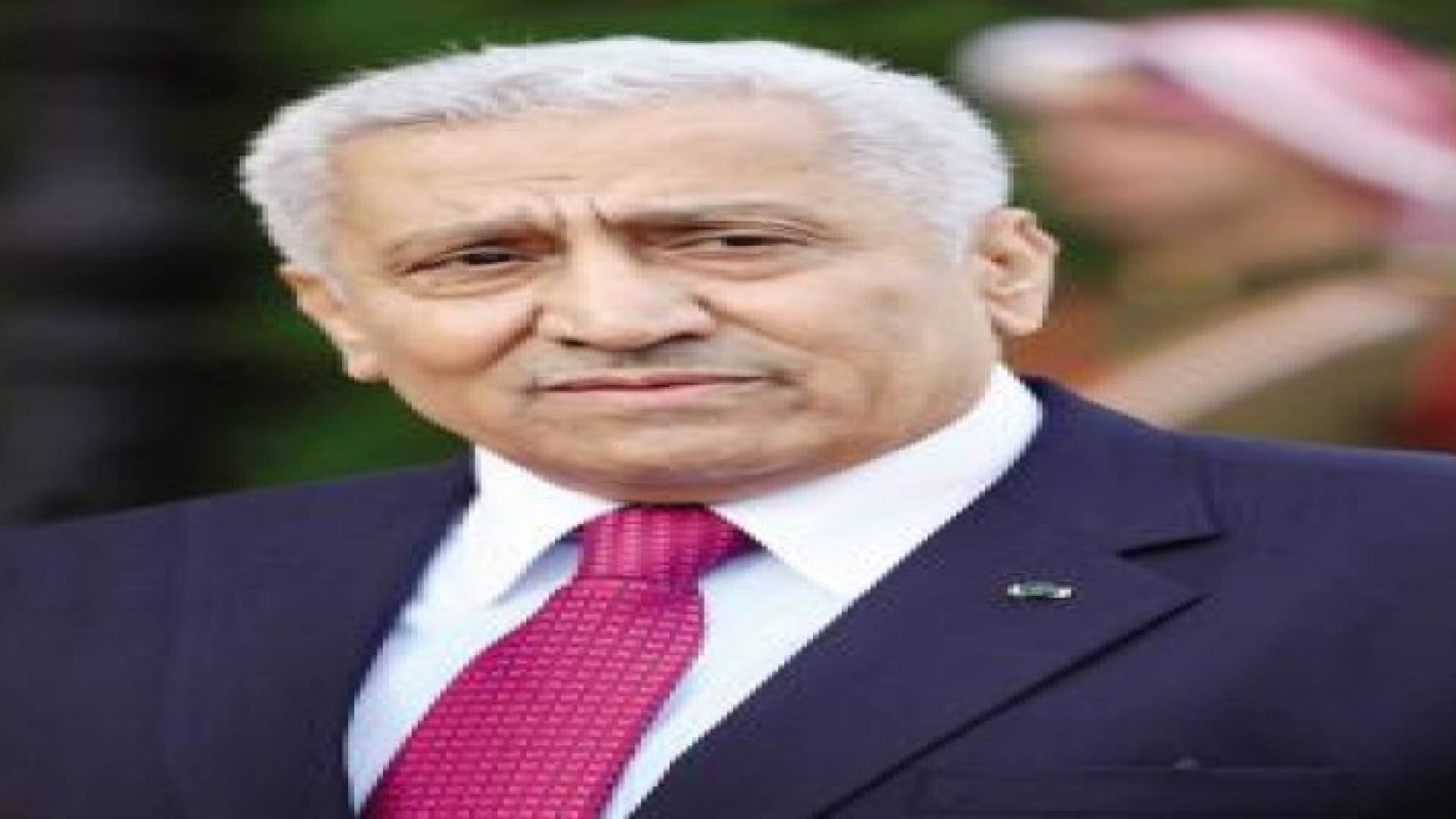 النسور : لا تتعزز الديمقراطية دون احزاب قوية وفاعلة