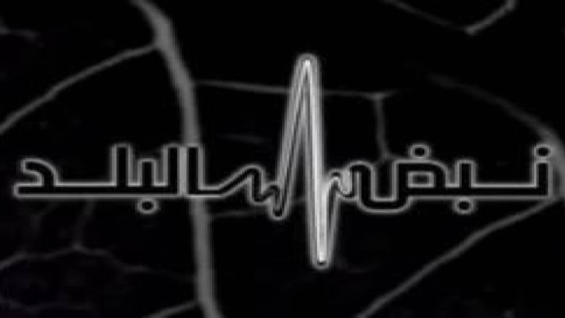 قانون الأحزاب على طاولة نبض البلد