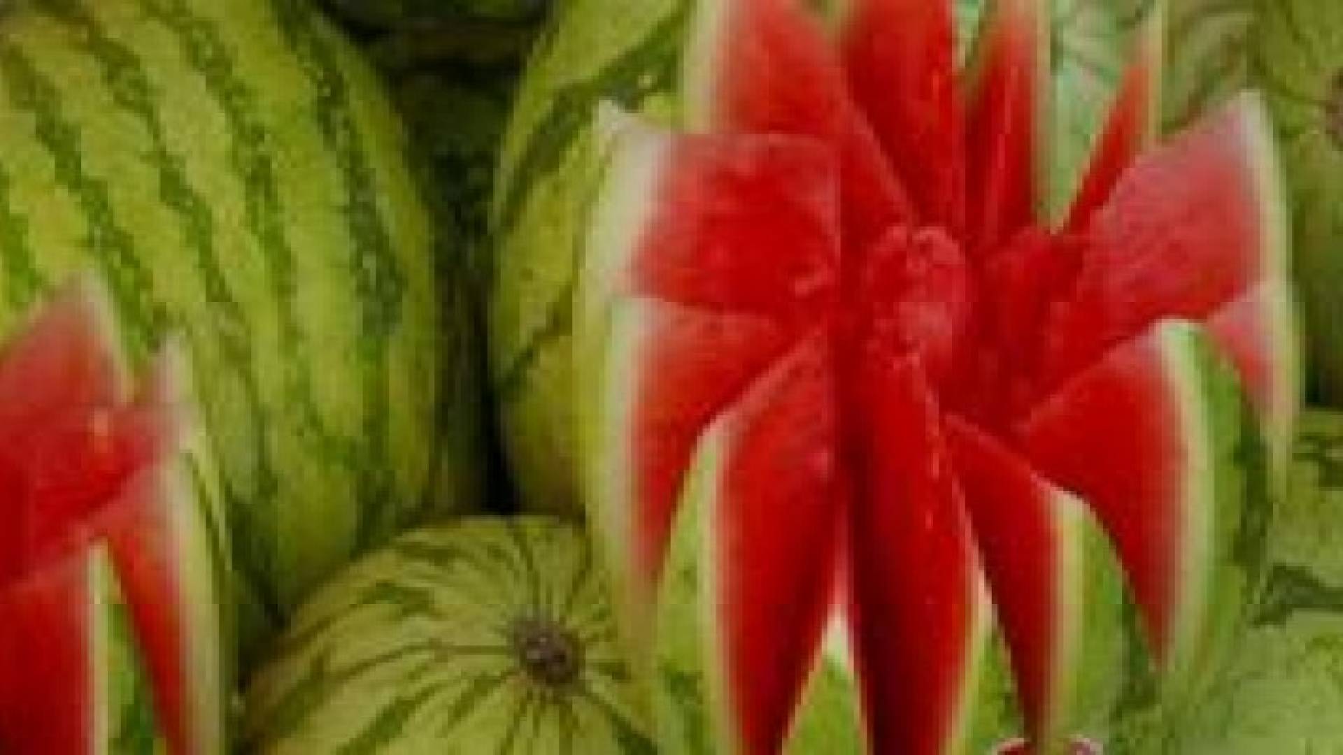 "الـزراعة"  تنفي وجود بطيخ "مهـرمن"