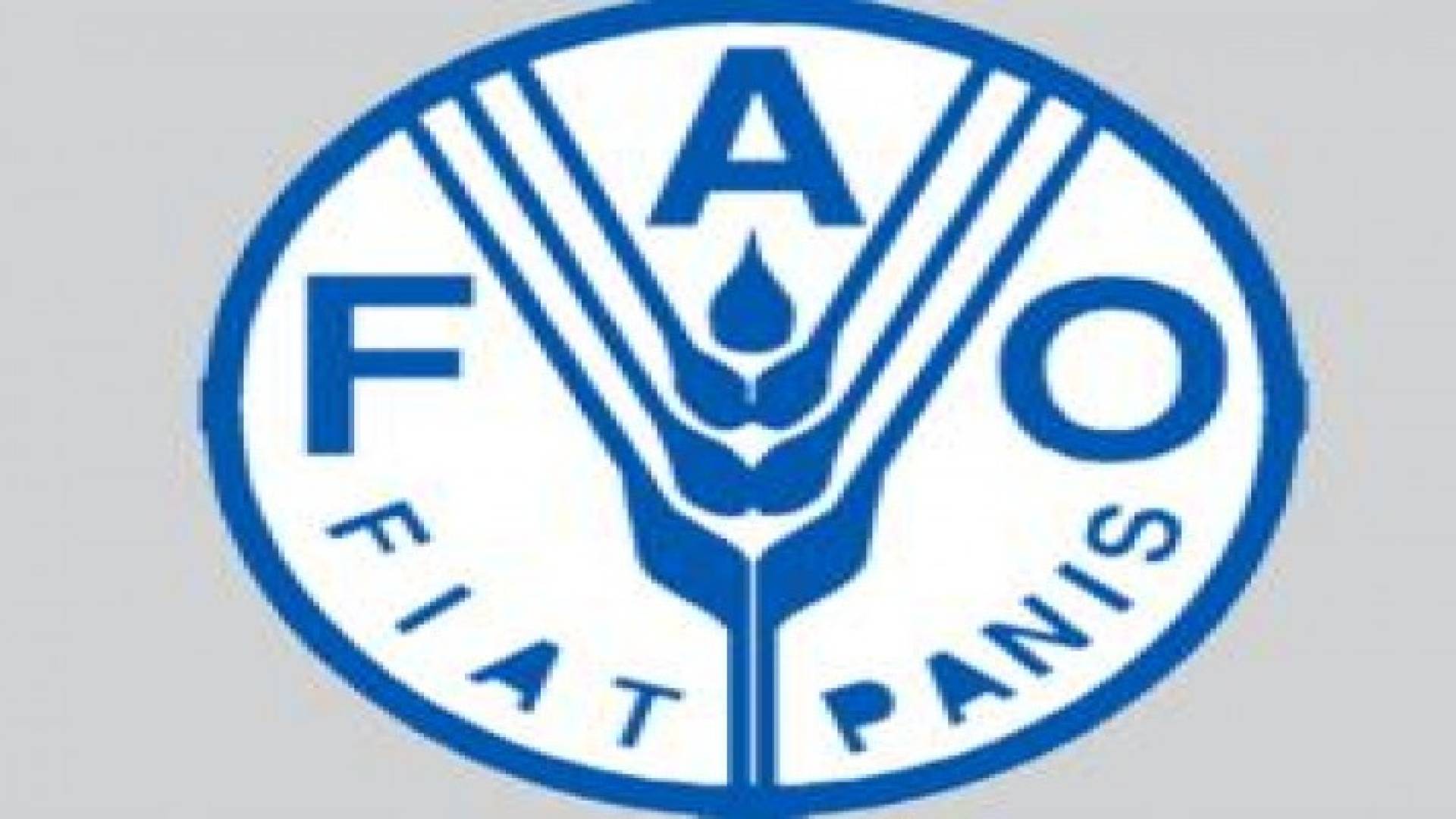 "الفاو": الأثرياء يهدرون 222 مليون طن من الغذاء سنويا