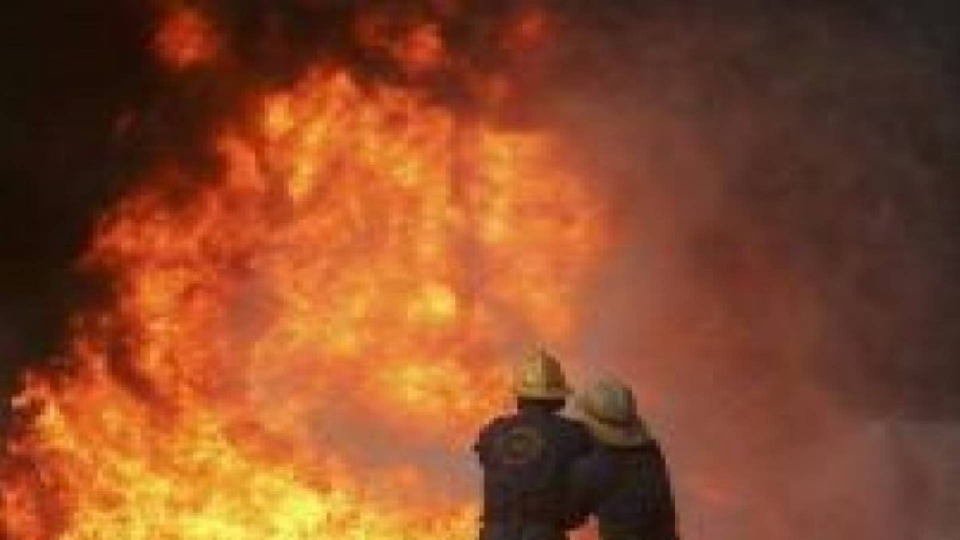 عجلون: حريق يأتي على 20 دونما من أراض زراعية في راجب