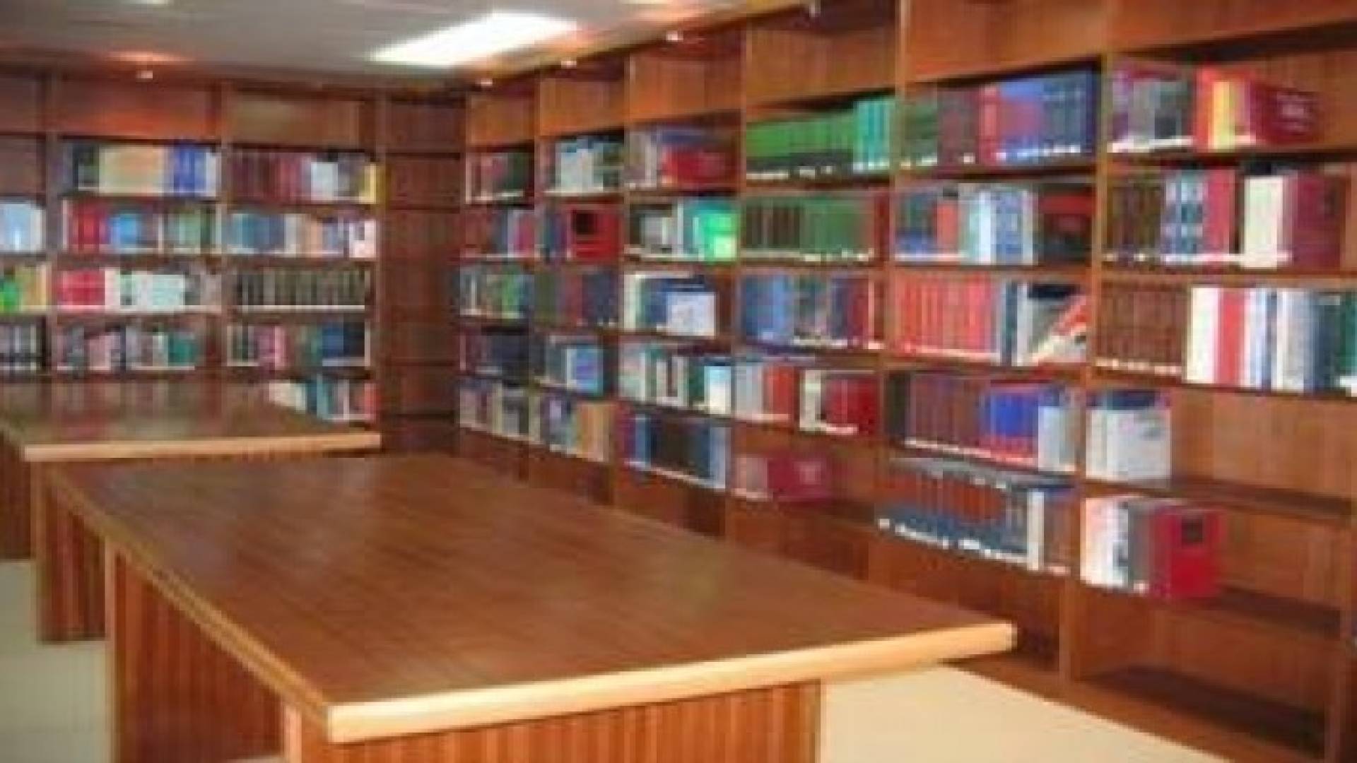 الامانة : 65 الف مشترك في مكتباتها و1700 زائر يوميا