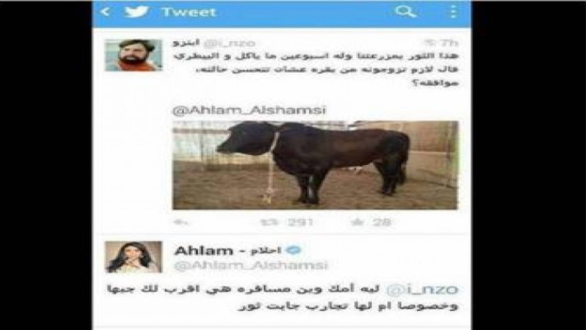 تغريدة للفنانة أحلام تثير جدلا عبر مواقع التواصل الاجتماعي