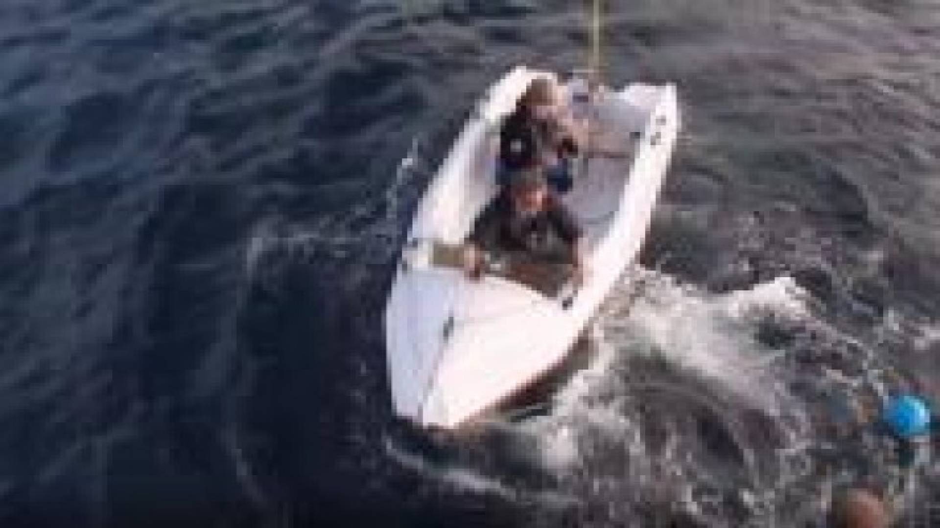 لحظات مرعبة لهجوم قرش أبيض على قارب صغير.. فيديو