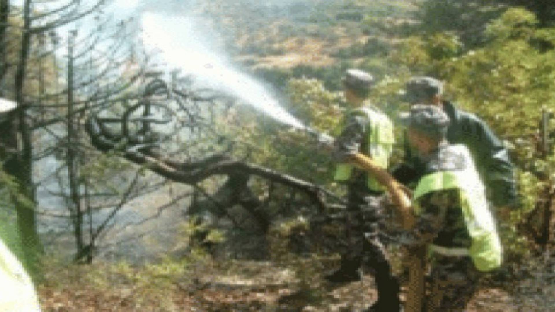 إخماد حريق أعشاب جافة وأشجار مثمرة ومحاصيل زراعية في الأغوار الشمالية