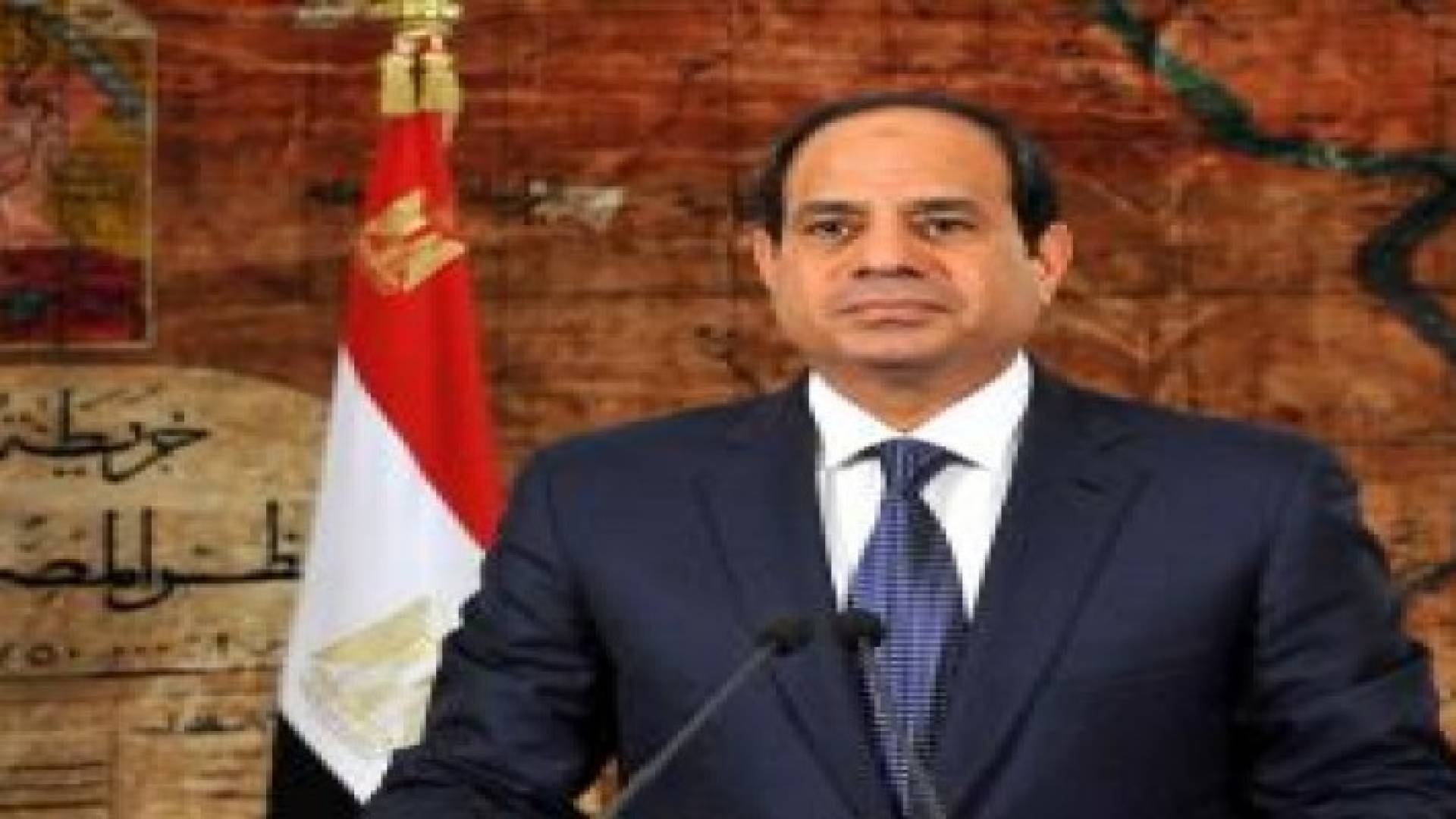 السيسي لصحيفة إسبانية: أتعهد باجراء الانتخابات البرلمانية قبل آخر العام