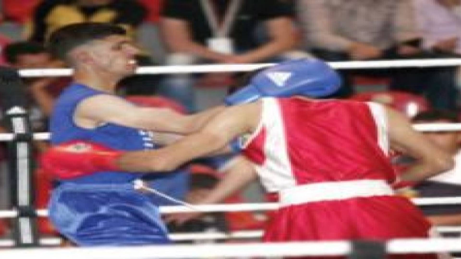 اختتام بطولة المملكة المفتوحة للرجال والشباب في الملاكمة